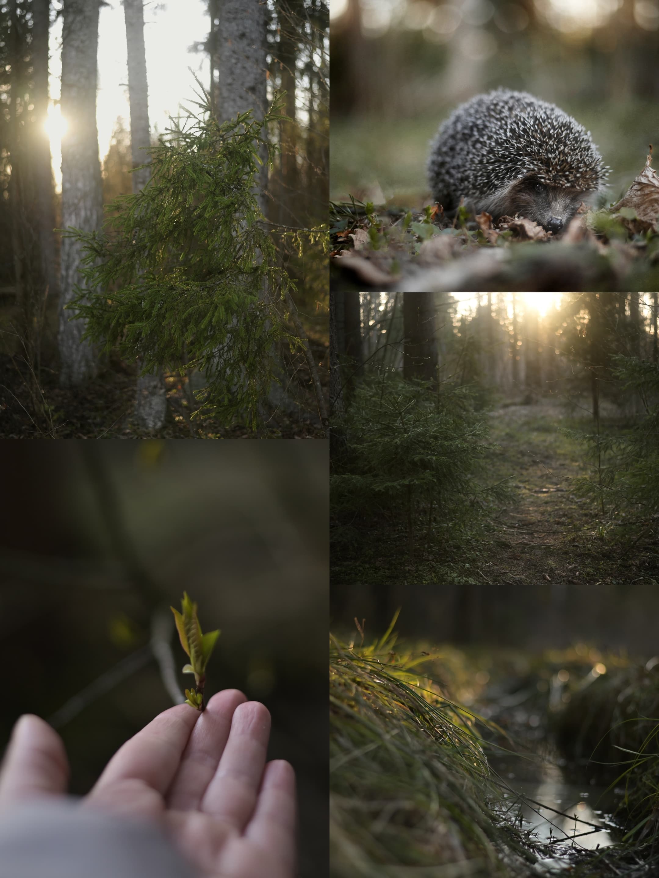 slide-850a2075-7732-4475-9219-c2e7e0120361