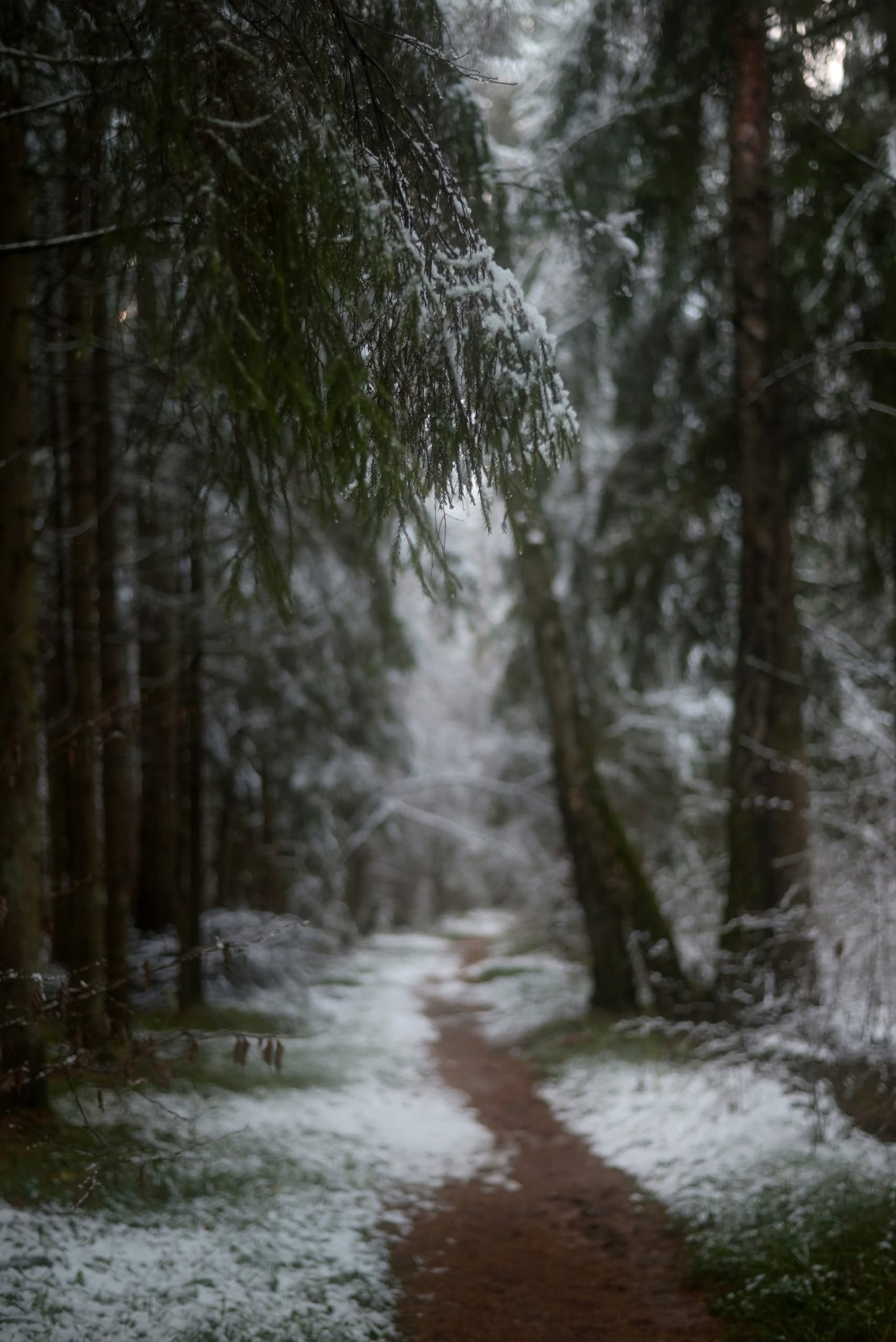 slide-855c9d60-7a56-4520-b24b-8d945a80bd5c