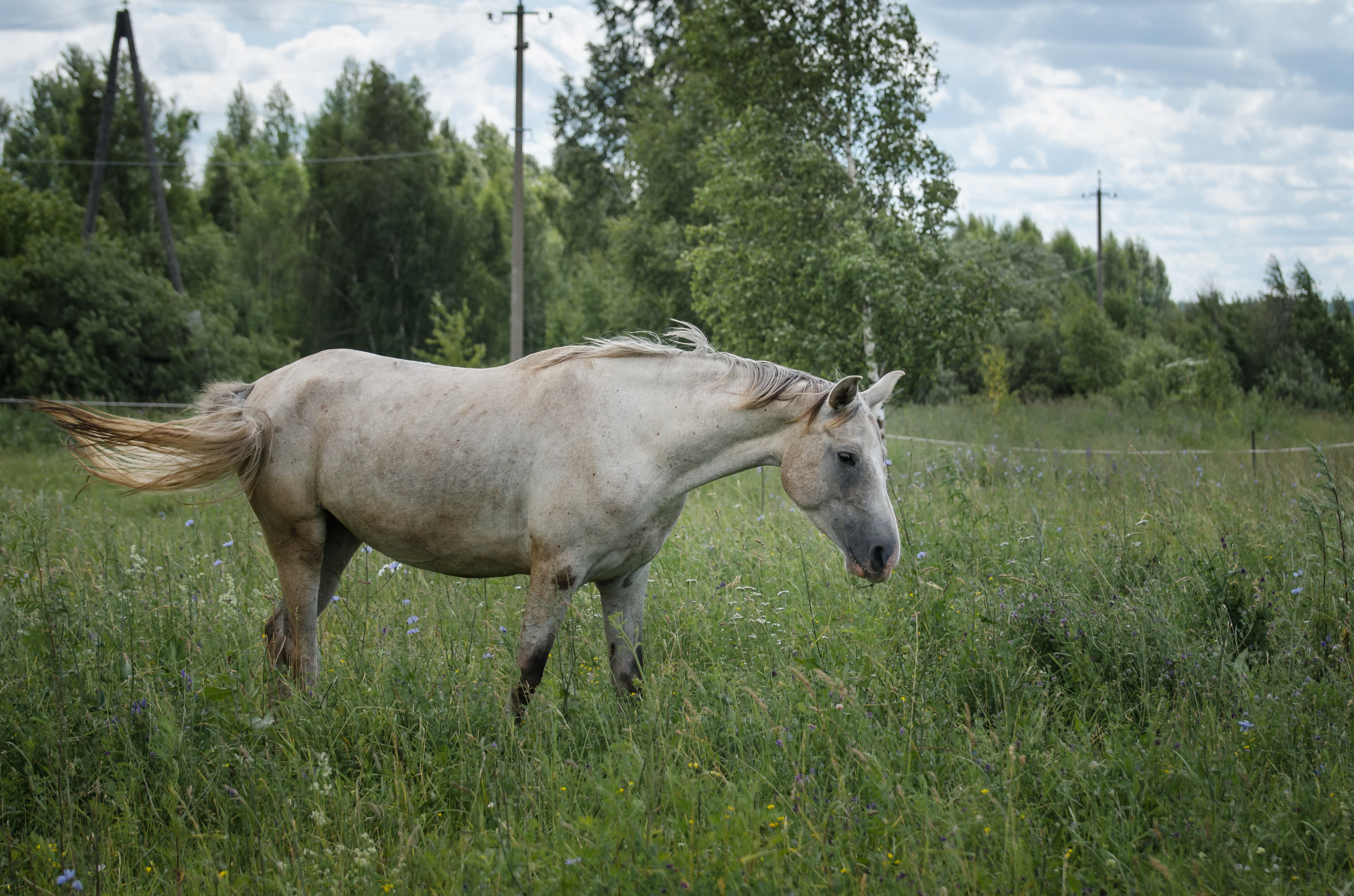 slide-867b1469-d67e-43f8-8d10-9014aea294ca