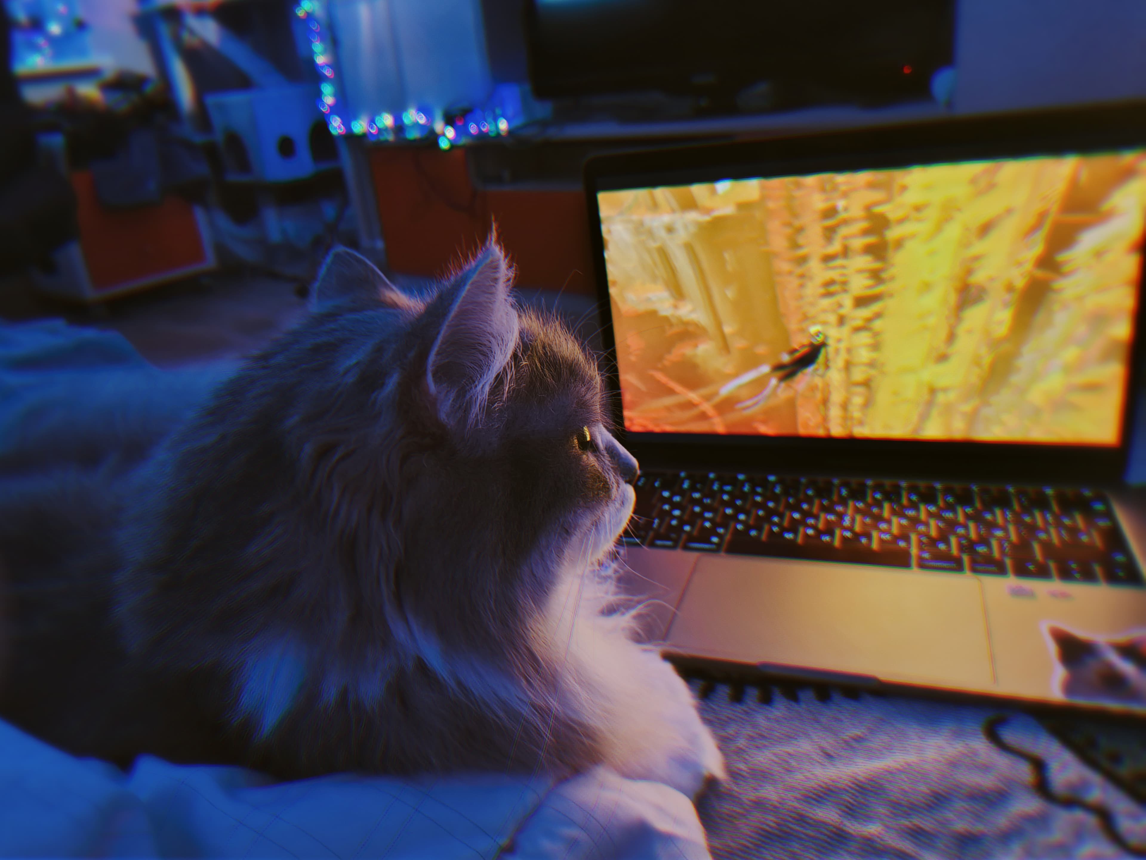 slide-89ecfa08-1547-47b4-b8c0-efc904e86212