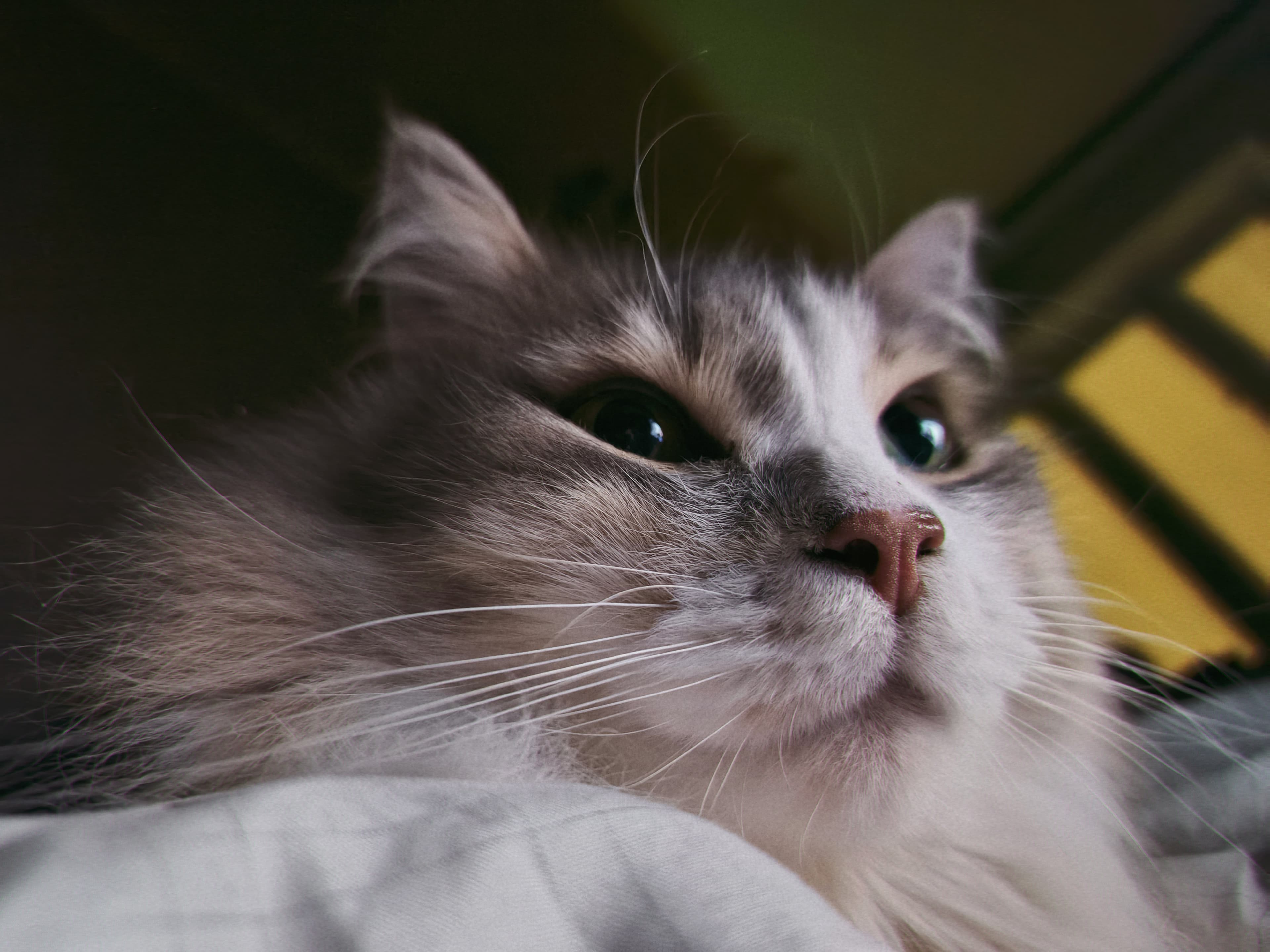 slide-8d3ef4d8-d648-400a-98d1-d3c839611807