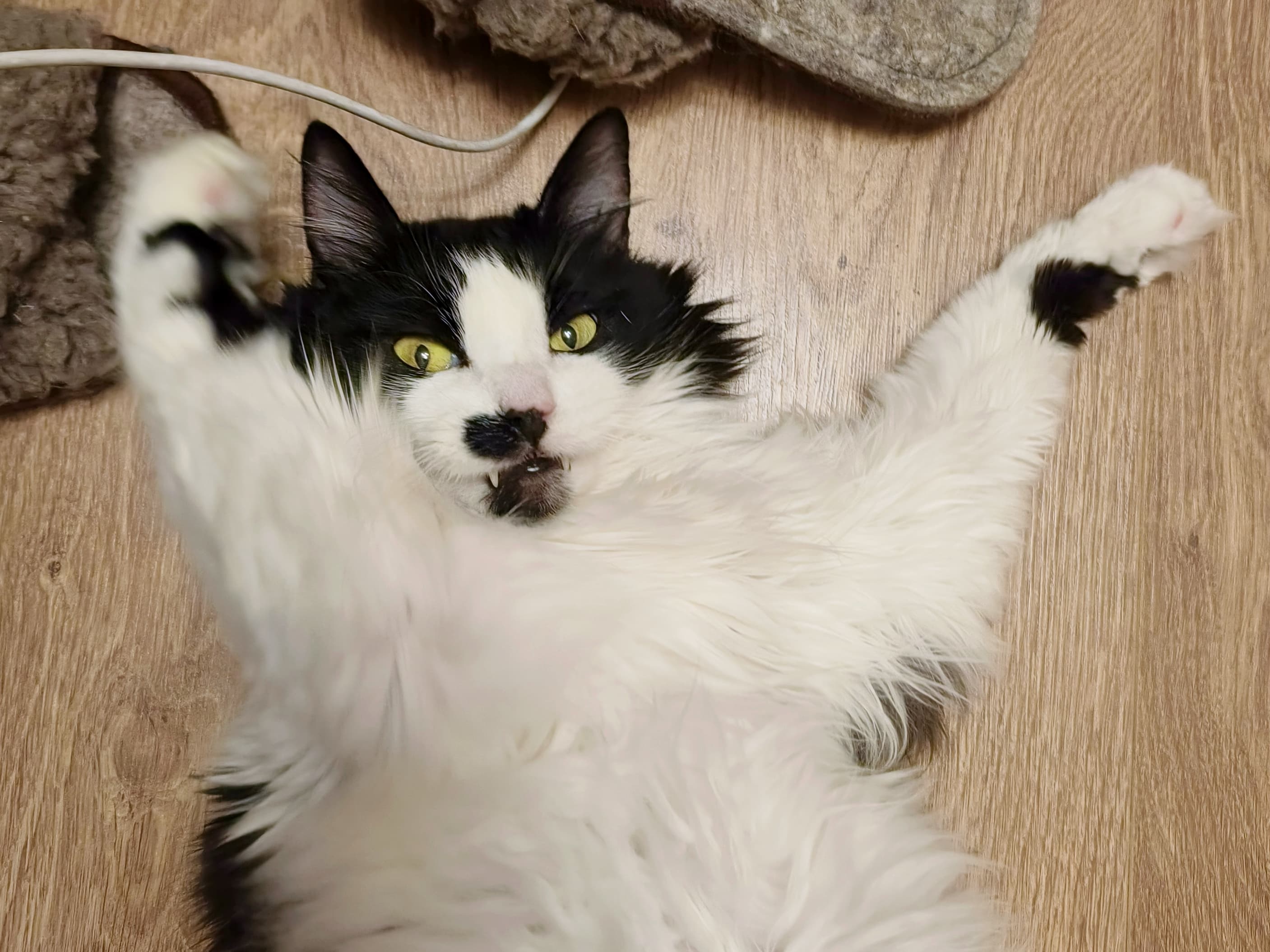 slide-8fc5742a-725c-42c5-ac59-e5187a1b195b