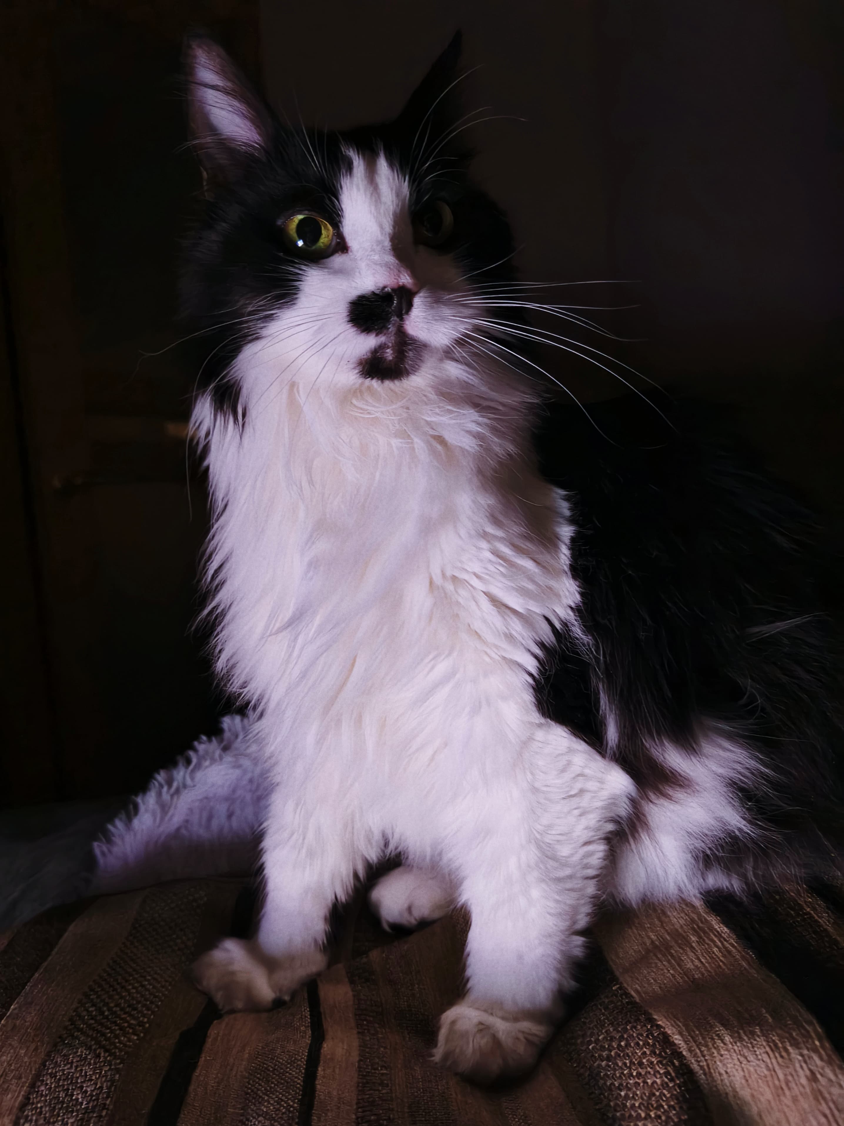 slide-9087f205-3941-4d5b-984f-59d611e6fb8d