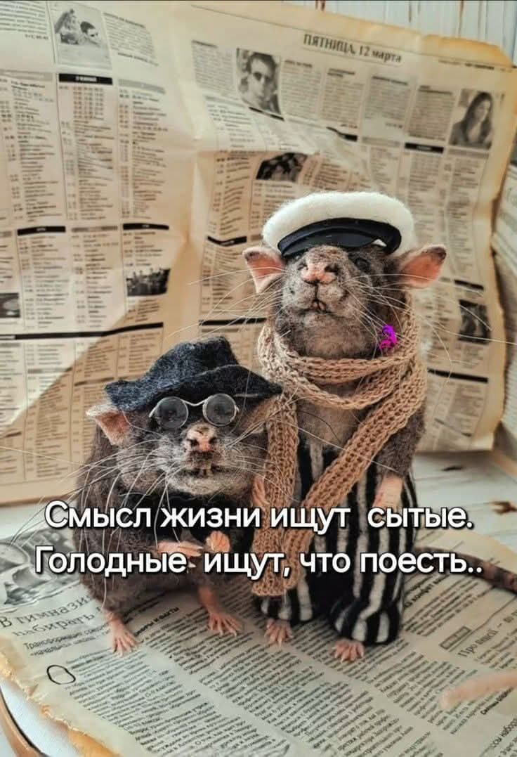 slide-94feb1f2-05a6-4b54-8143-067c4544235b