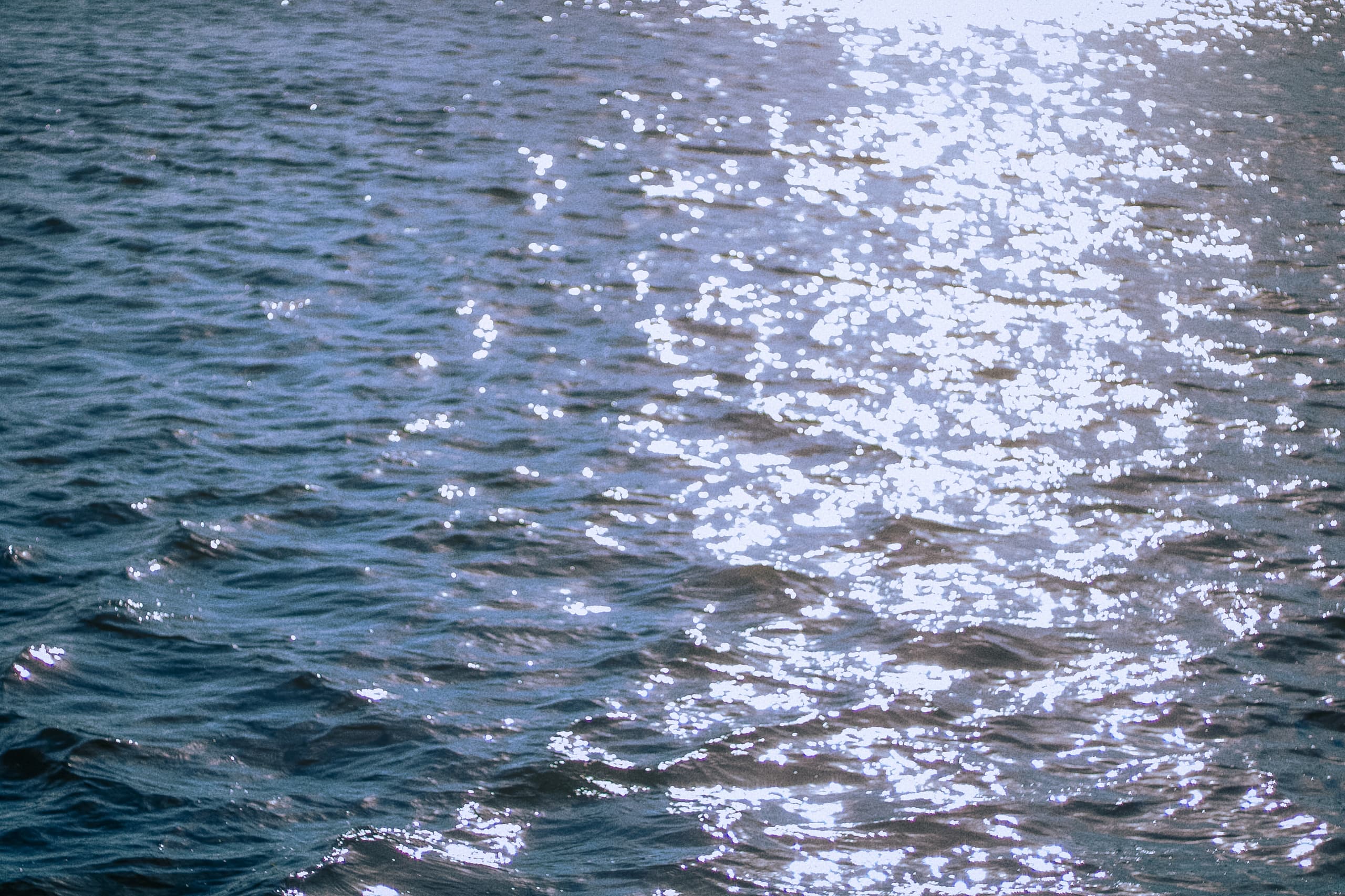 slide-958ba36b-8b81-4d1a-ad83-172db9d1607b