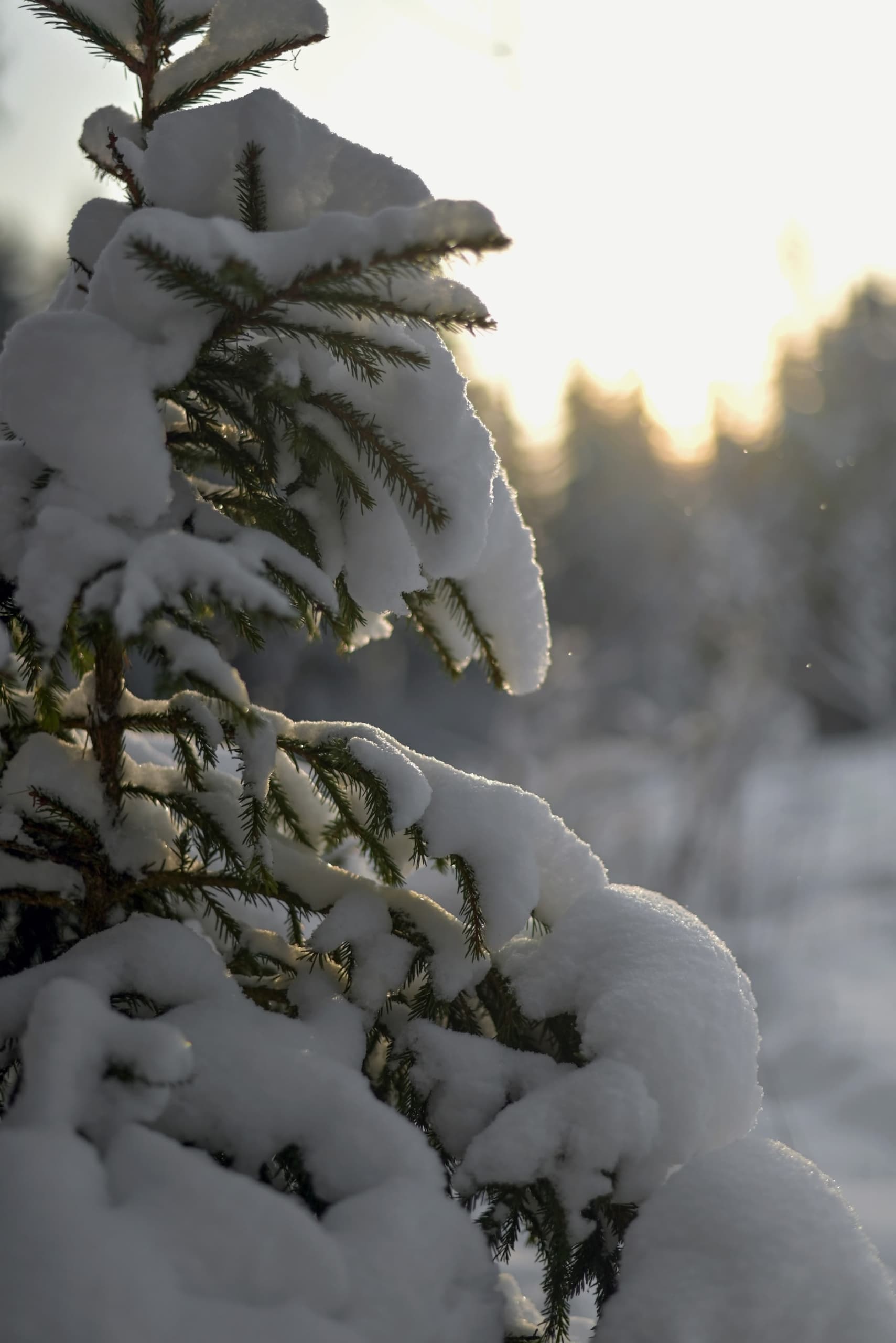 slide-95bfca7e-b2ae-446a-a26a-b92fc0a57a2a