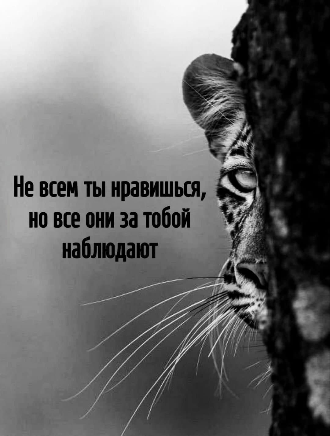 slide-97066e15-a4e1-4328-8ffd-ed5aab0a0098