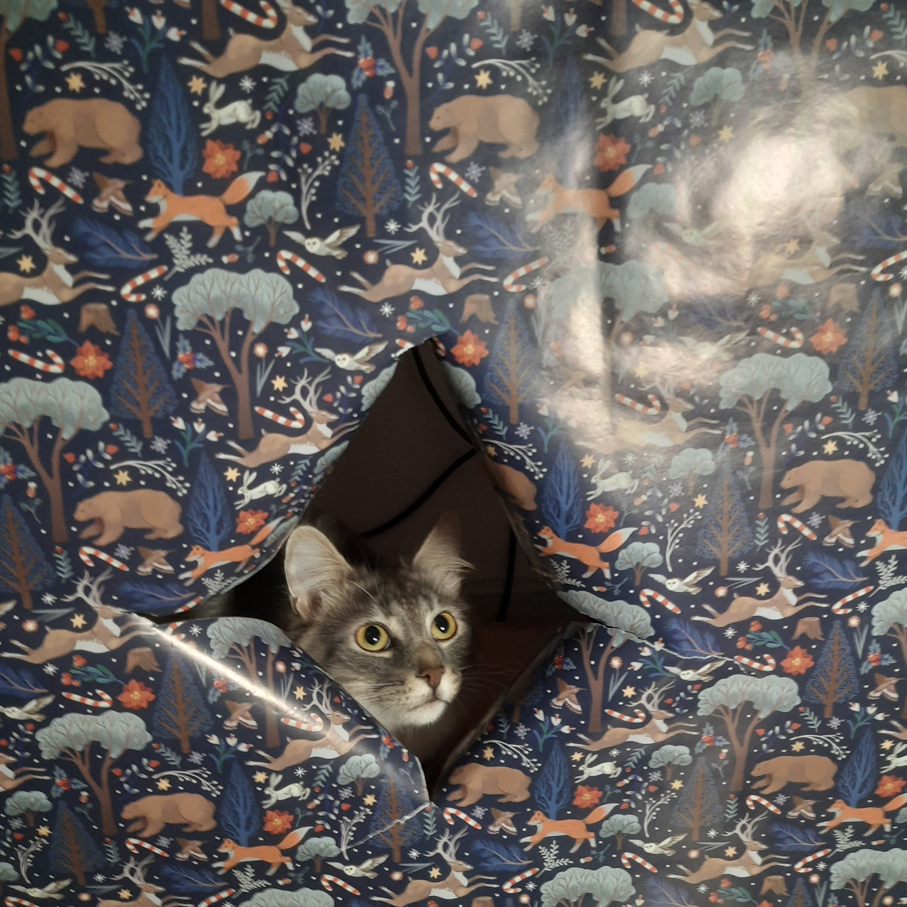 slide-97745660-92f1-4072-8644-838fd1b4dfeb