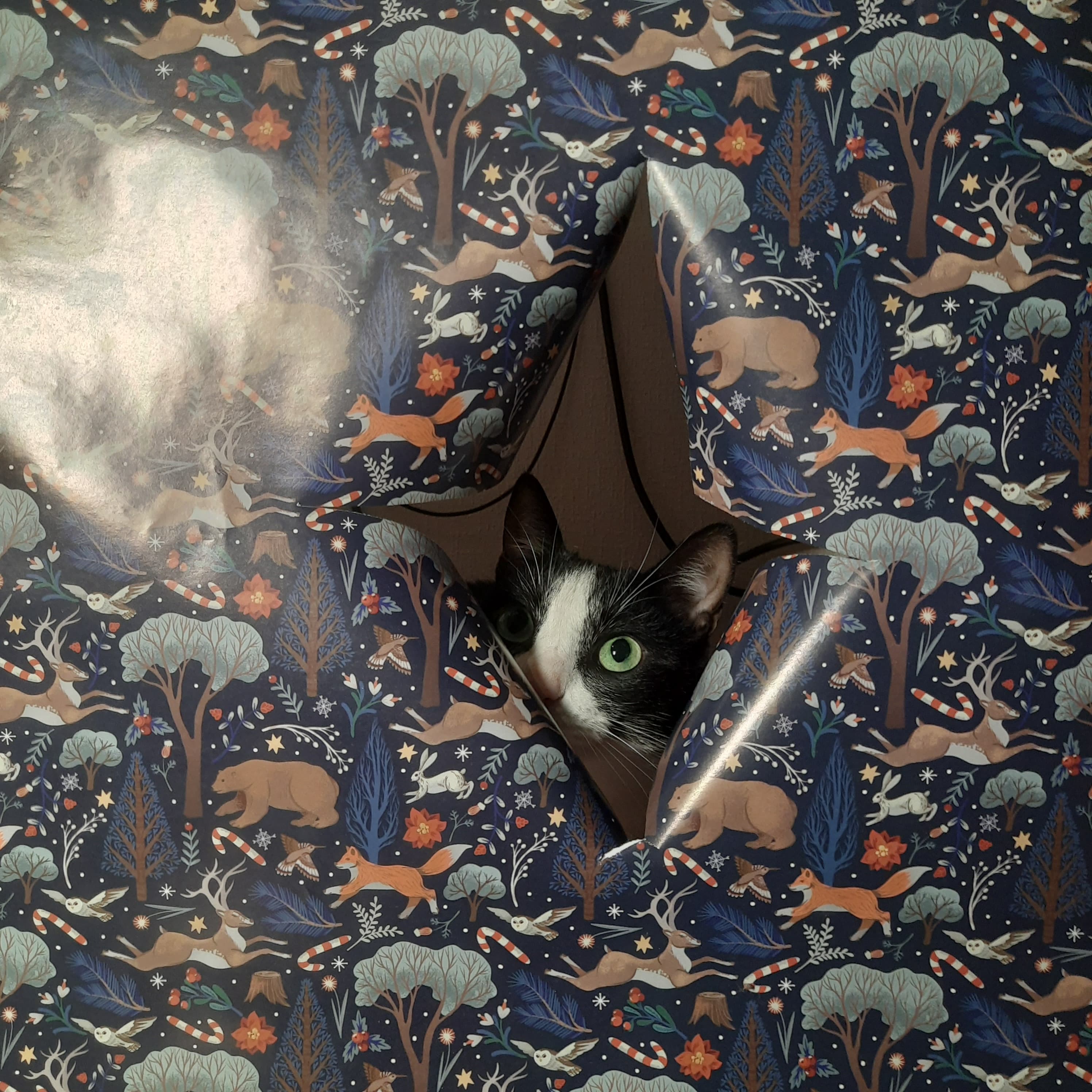 slide-97d465d5-3cbf-493e-a3bc-0e43f7ac7f4d