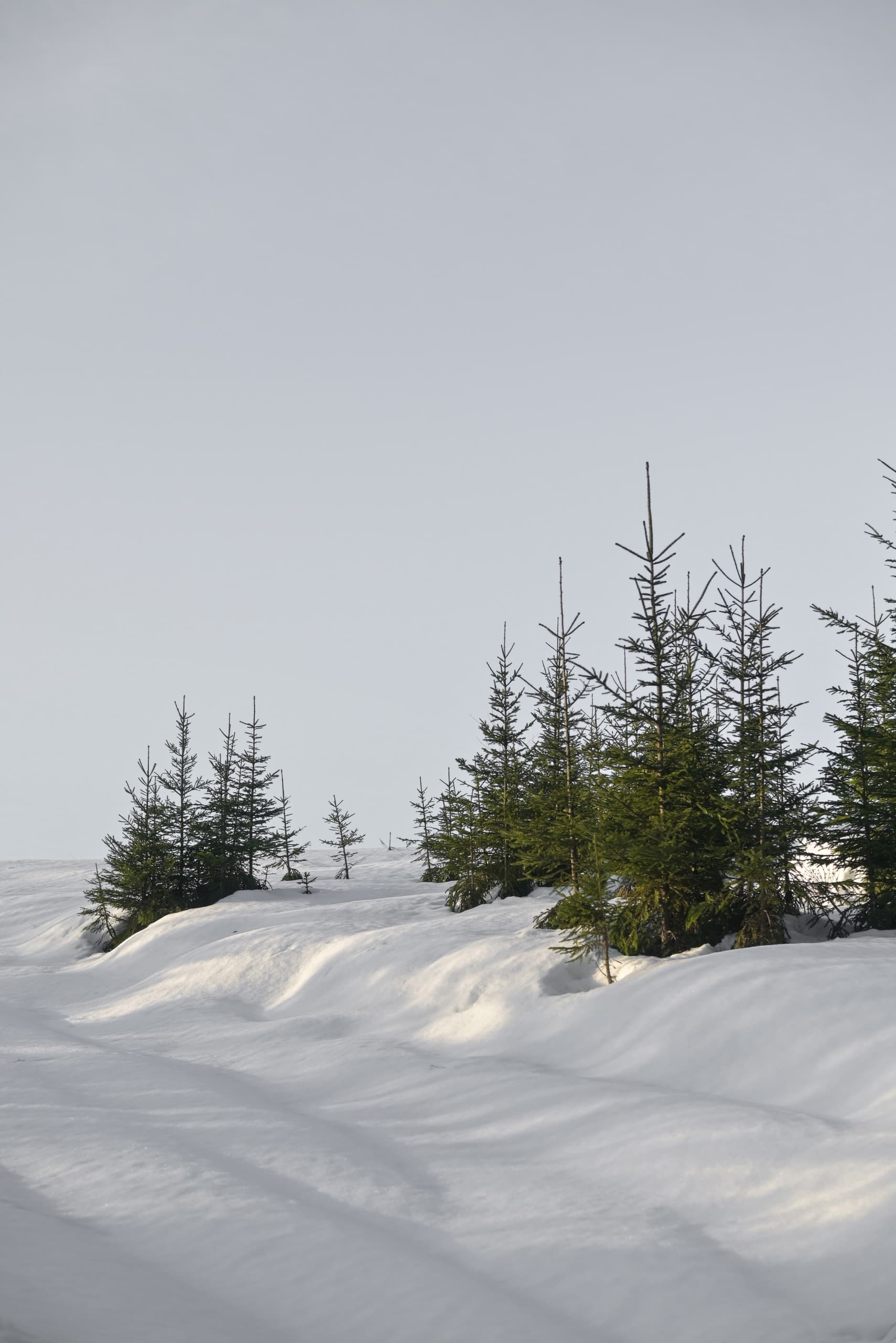 slide-993ed3a9-3319-404d-8da7-8c56954d4dd1