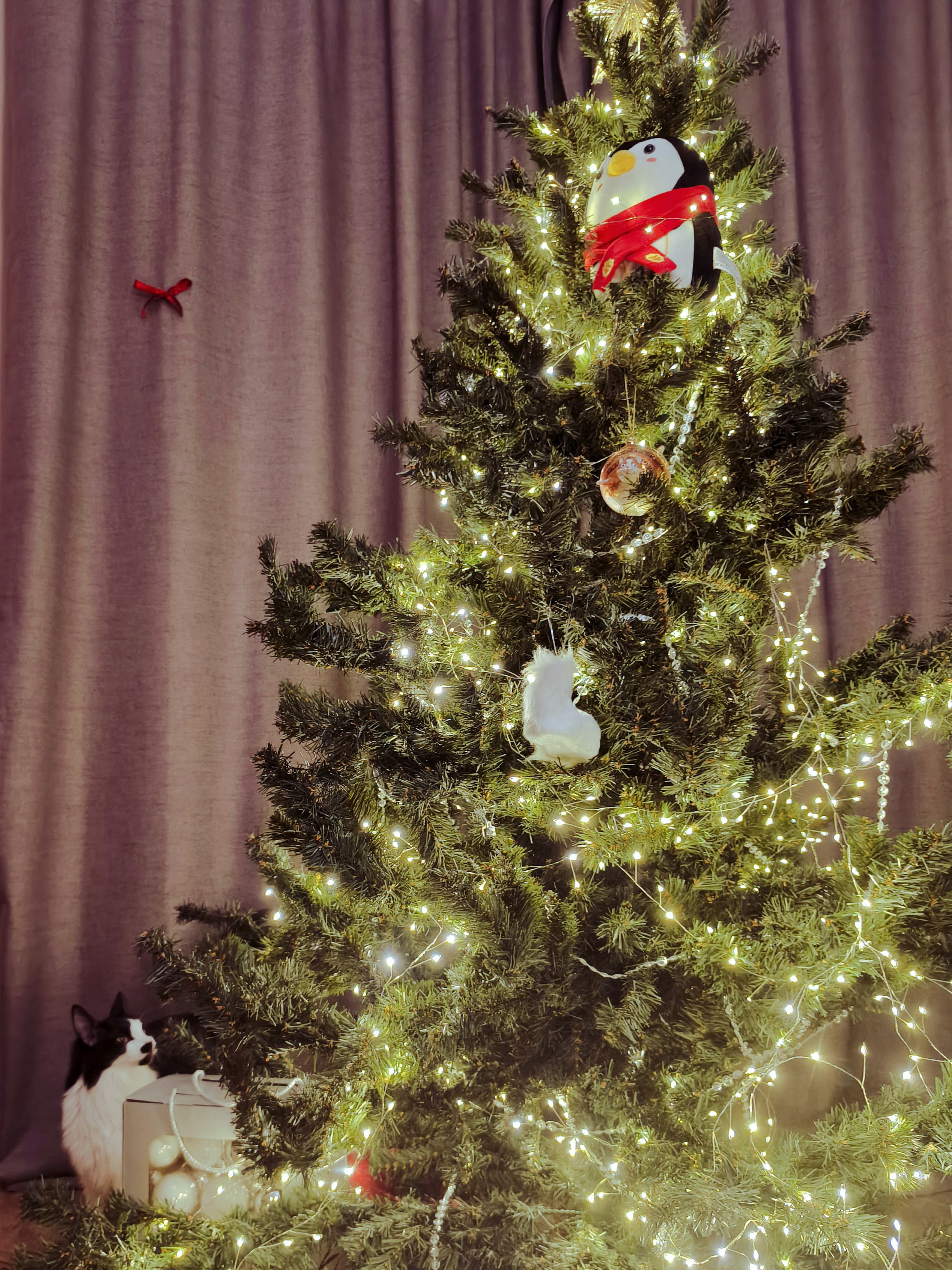 slide-9c1a5f8d-6612-4e0d-9d7e-310958a261d1