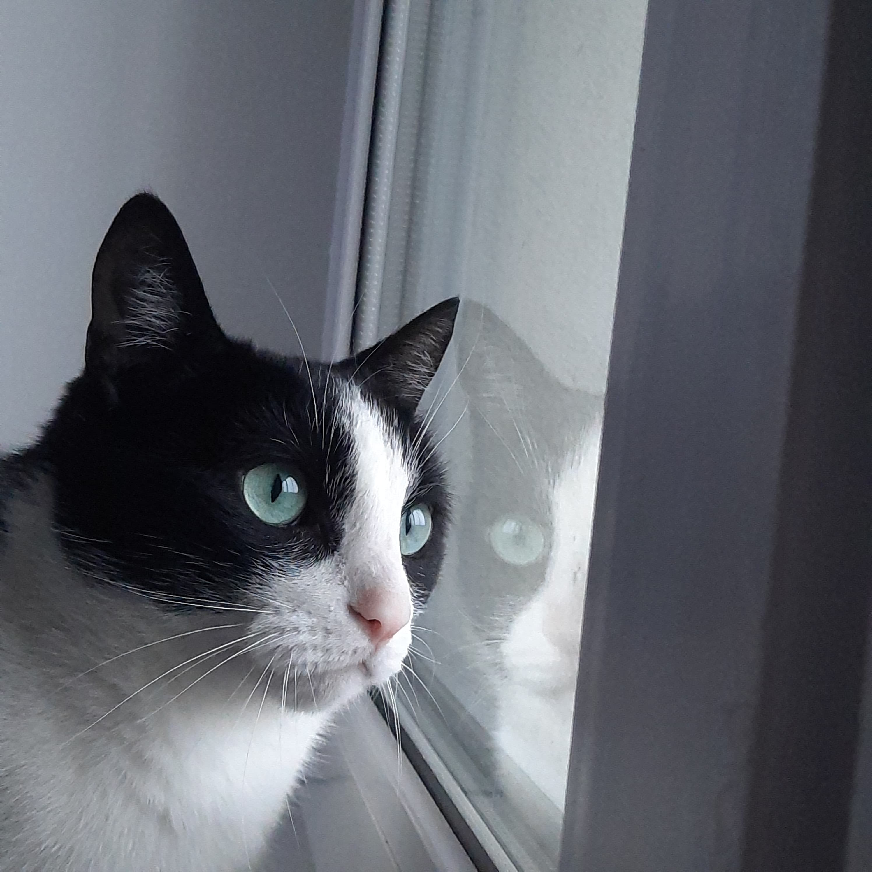 slide-9c523ce3-b795-40f4-ad4d-5e1a8a544f67