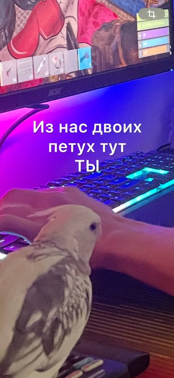 slide-9c80ff27-3e7a-48b8-90f8-0d0885bf9e2c