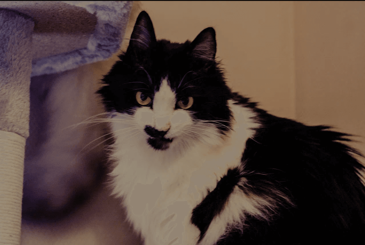 slide-9c9c8484-9665-4872-a360-2900c90fe007