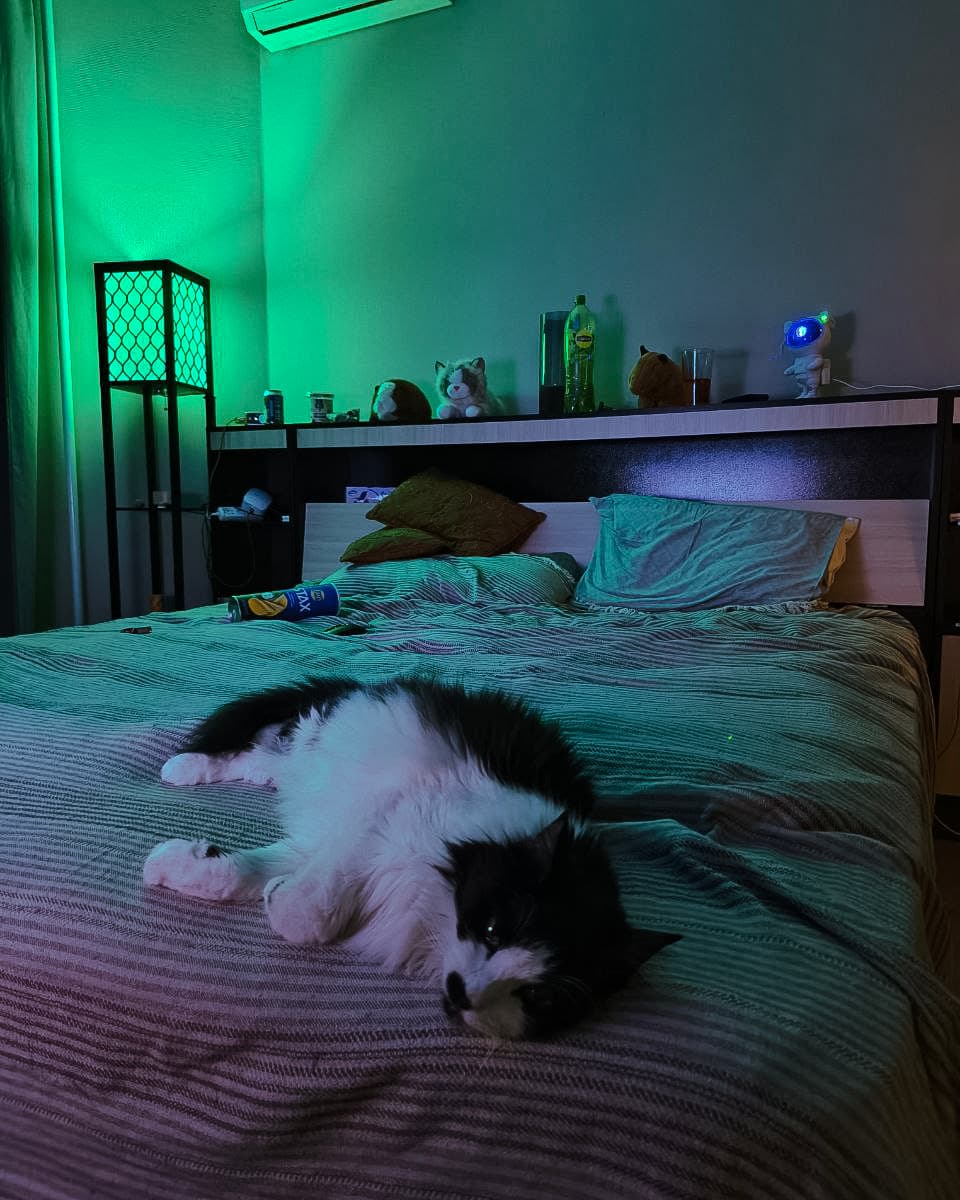 slide-9db40cd5-91b2-47dc-aa36-7f7f566f5a5f