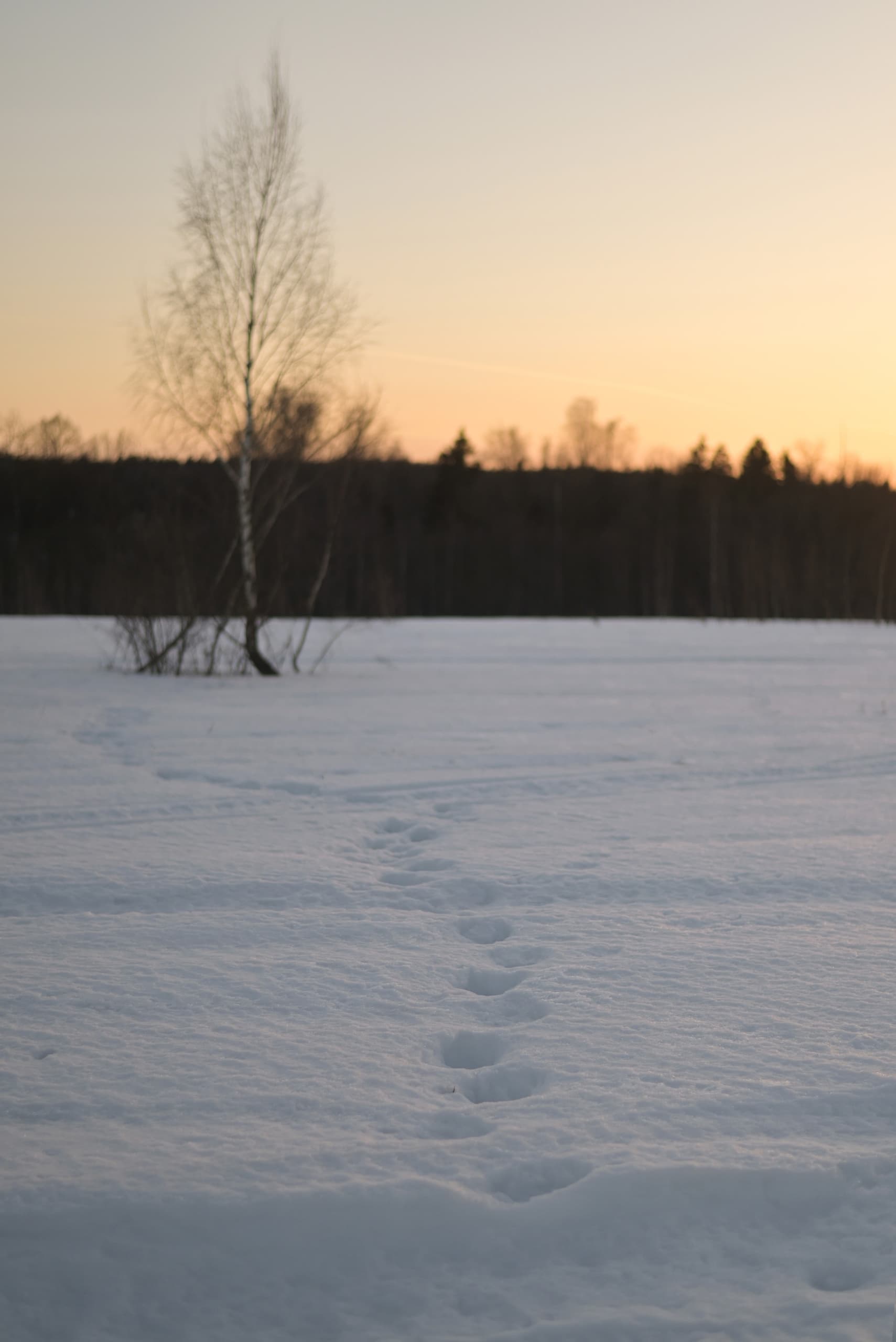 slide-9df282f5-209d-47e9-807c-d505cfcaf4fd