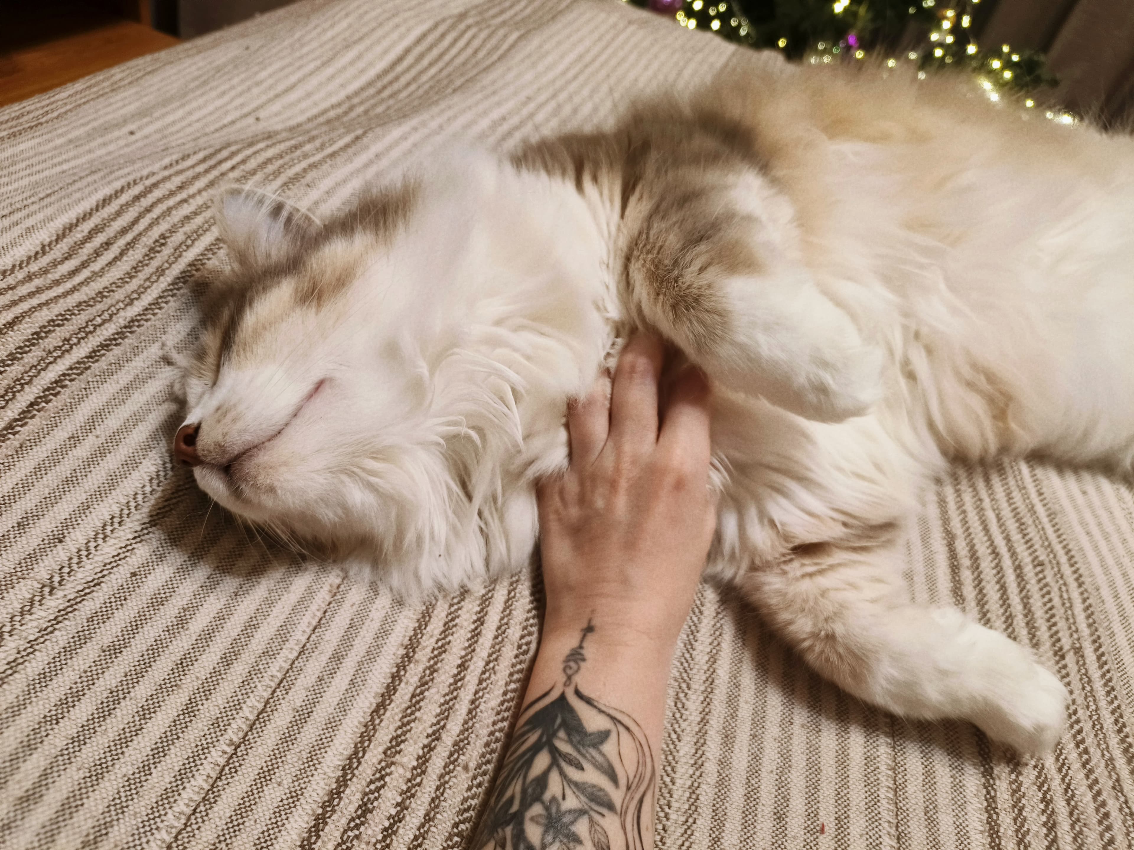 slide-9f487ae5-4dfd-448b-b720-d6a6848bfc9d