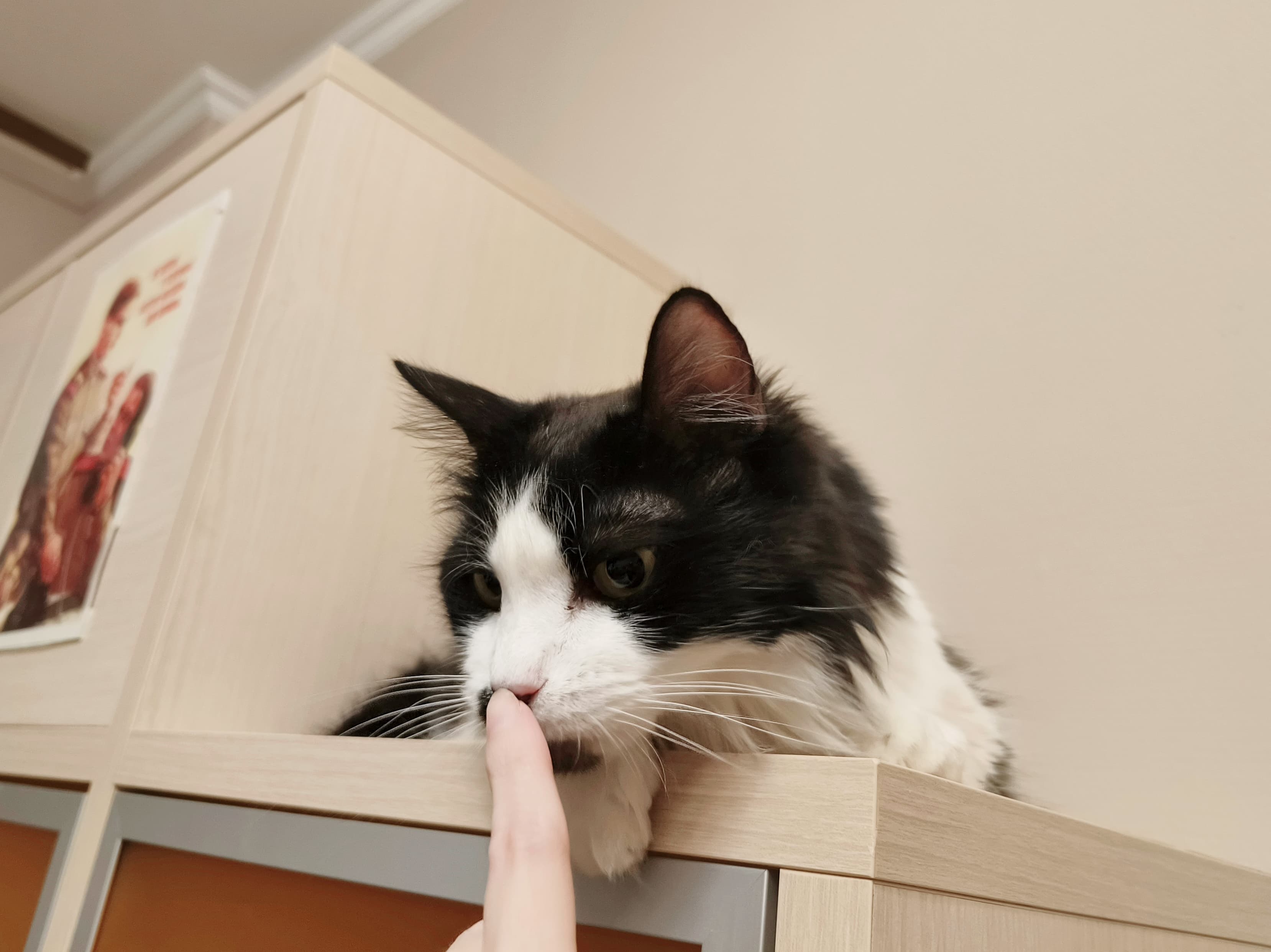 slide-a0125671-3330-41c9-a7ea-4950cb536853