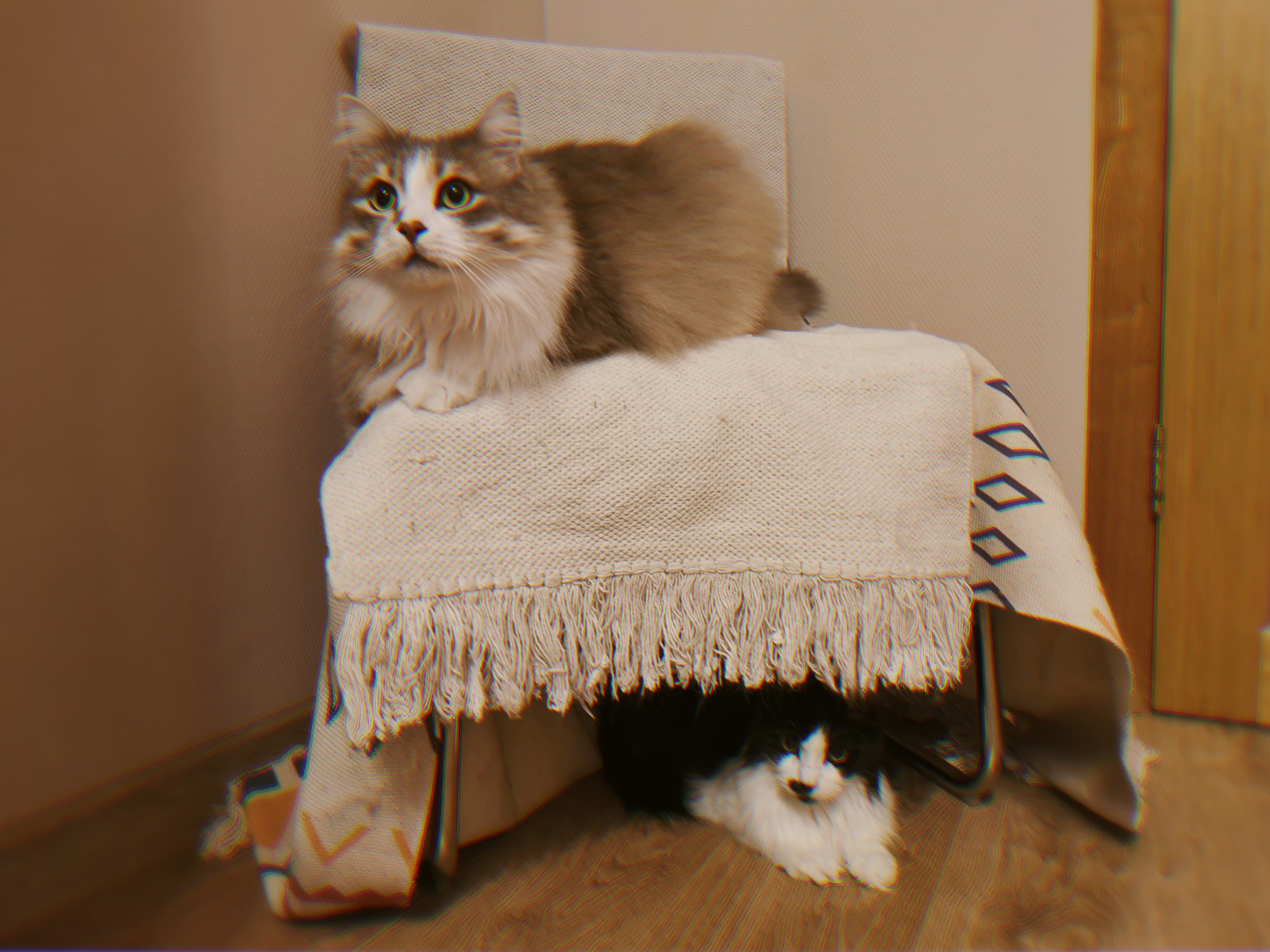 slide-a159af93-68a2-4d3e-be2f-34768041766d