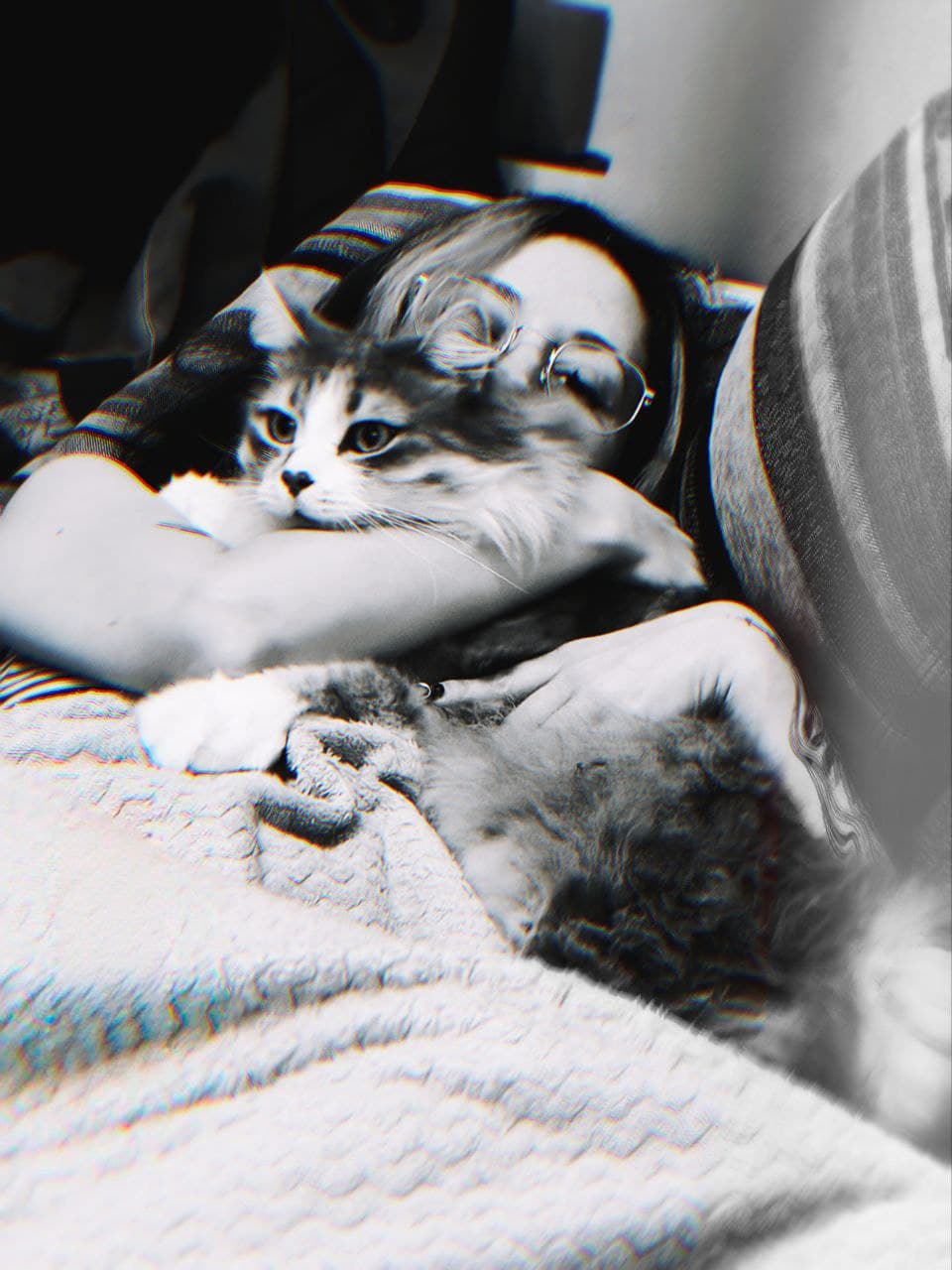 slide-a28579cb-340d-47e5-a387-889ff0ebbeef