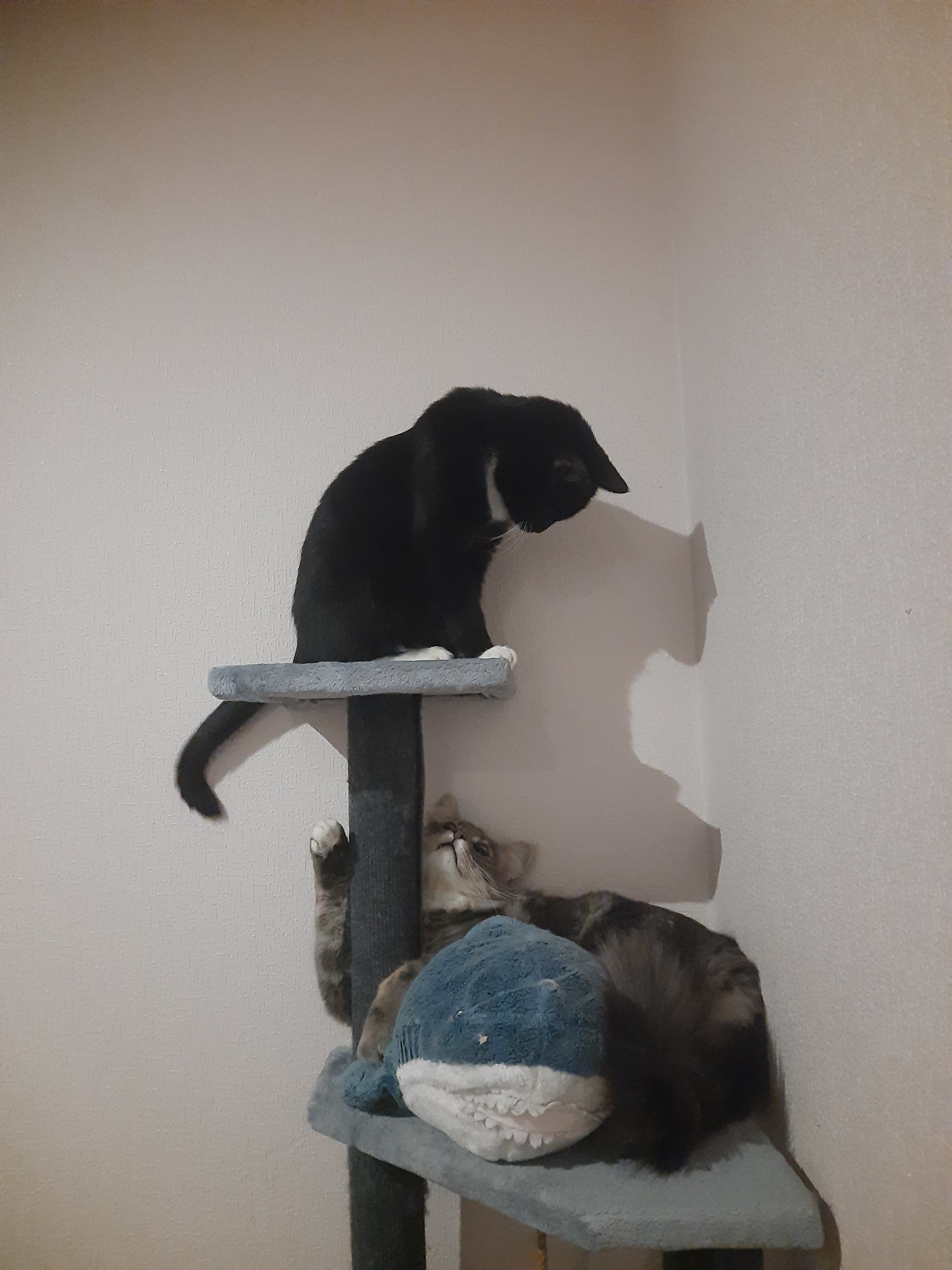 slide-a312a57b-049c-4a7a-b420-d6e30f1e9c48