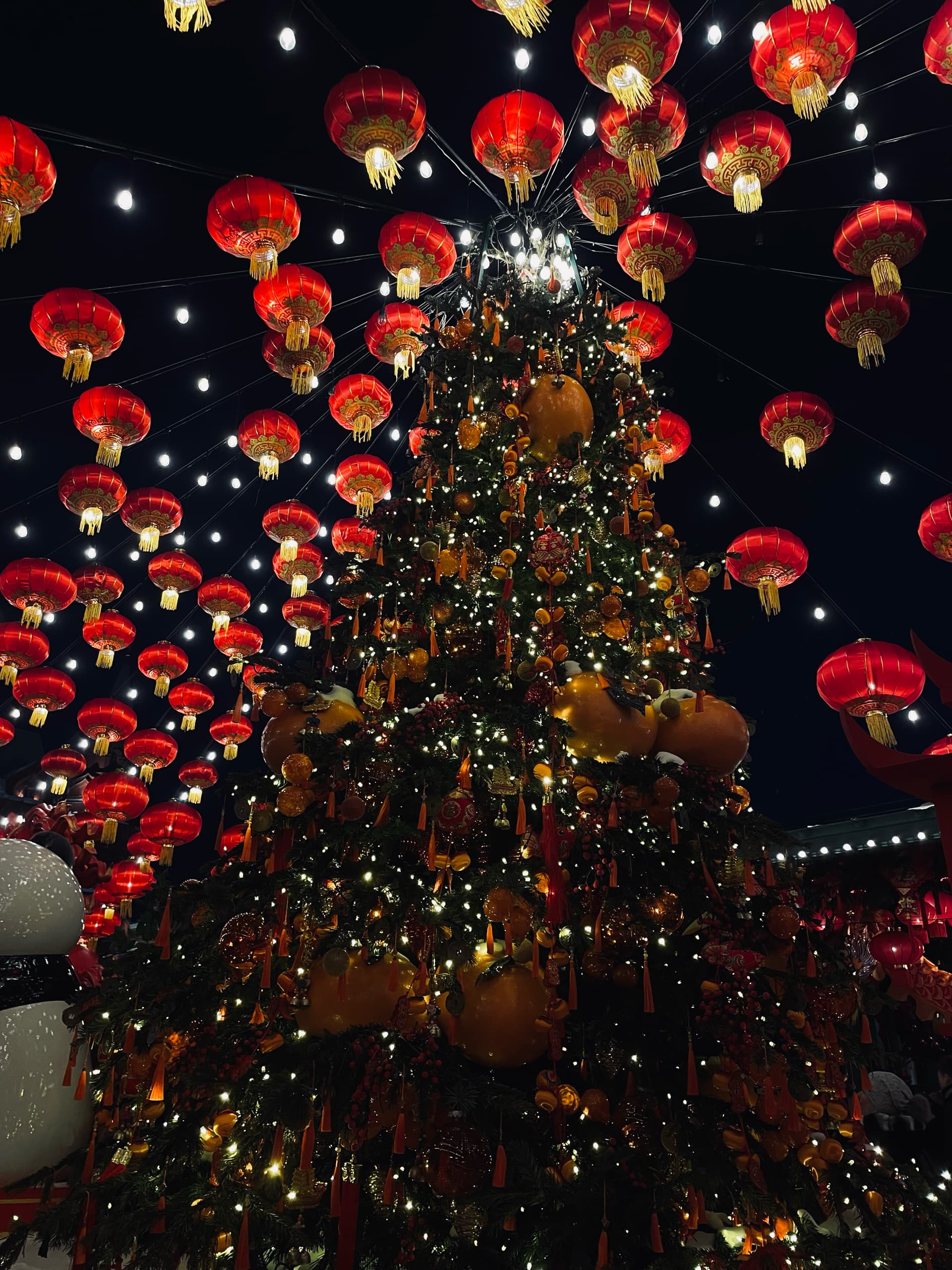 slide-a47694a9-928f-417e-8935-15644b625dba