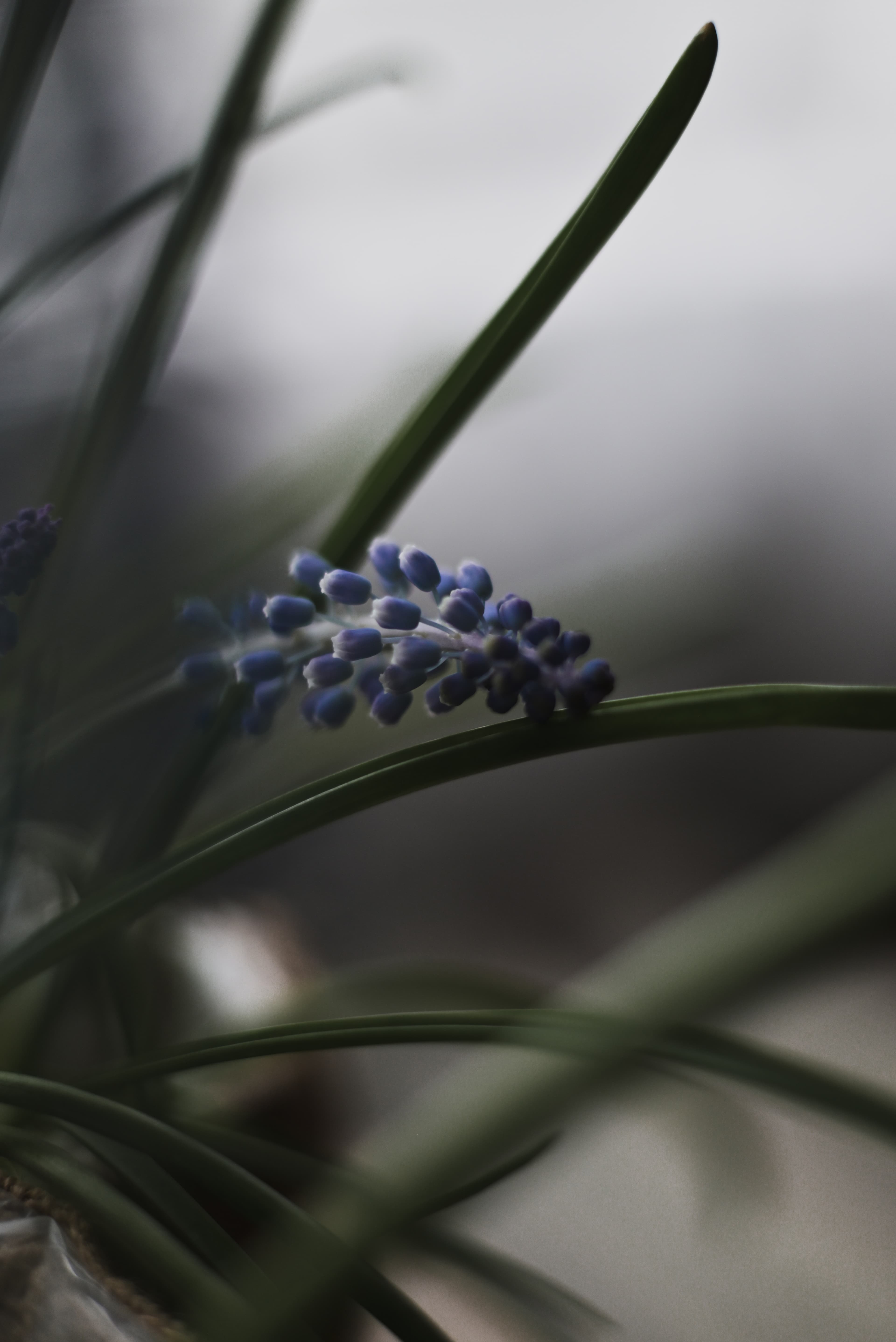 slide-a7e6b99c-a049-46b1-9f65-34e9f07bece4