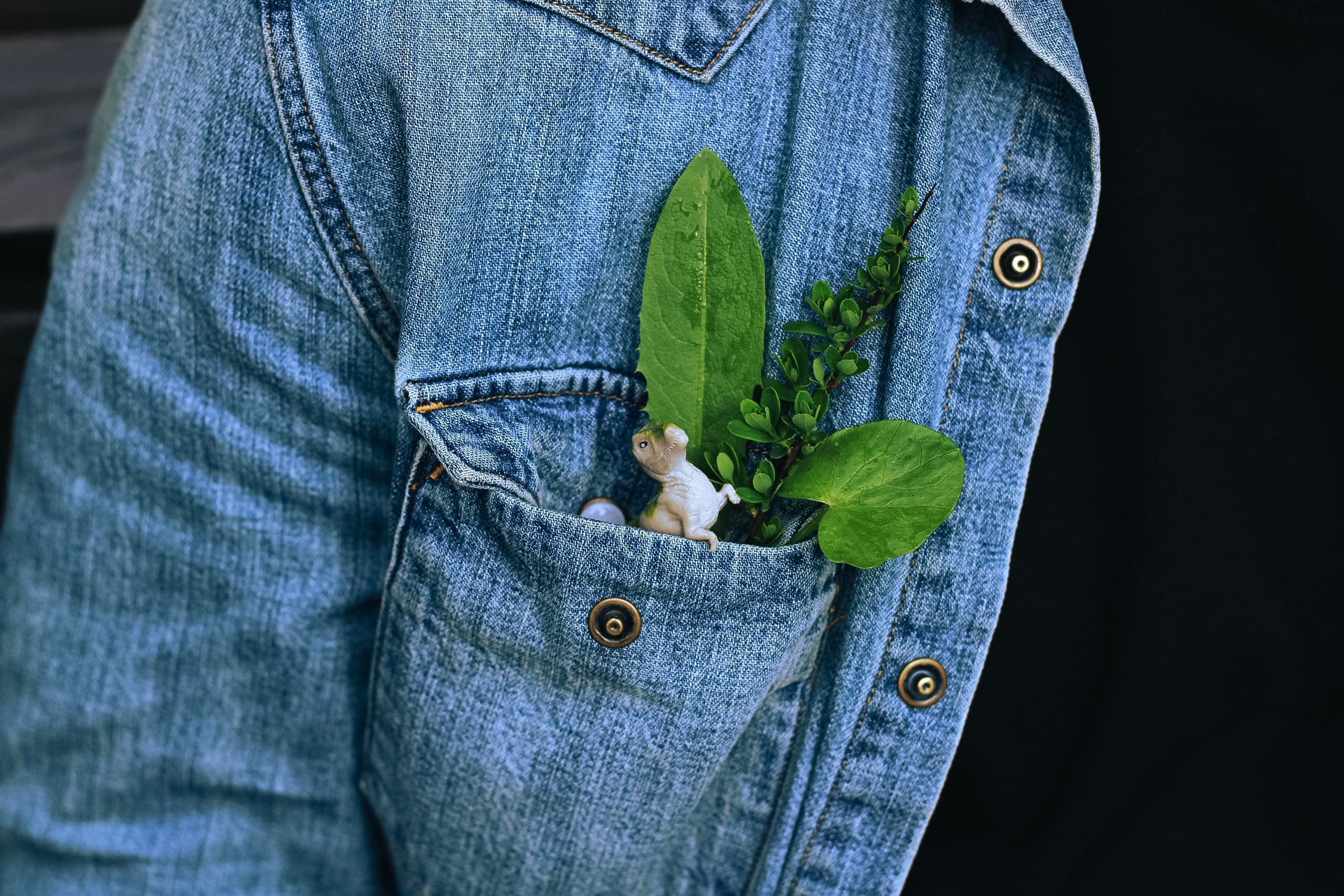 slide-a880cd95-91d9-4efd-80f6-b670a95edf69