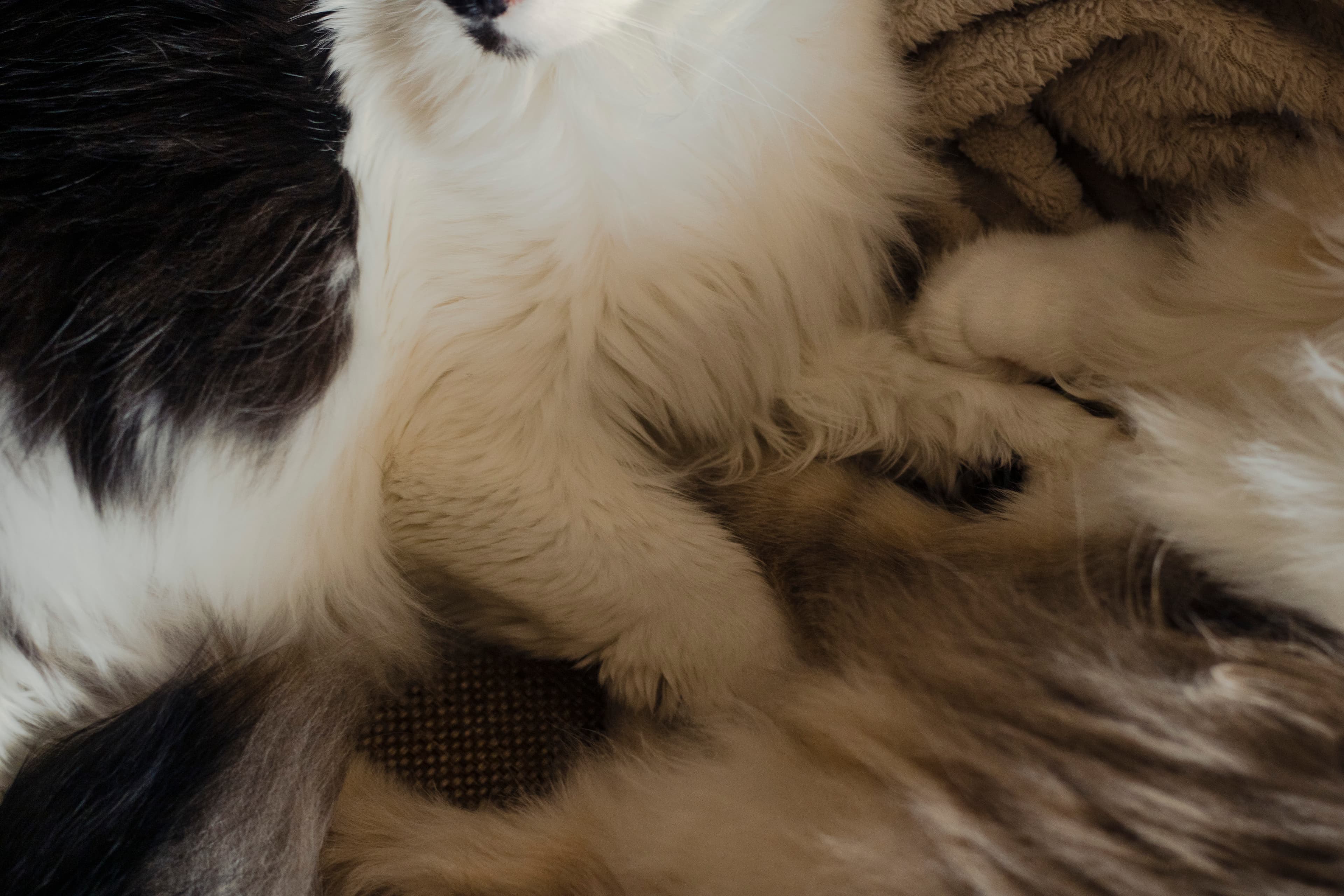 slide-aa1a4f0f-1dc2-4e0c-a2de-8a0763f8a4f5