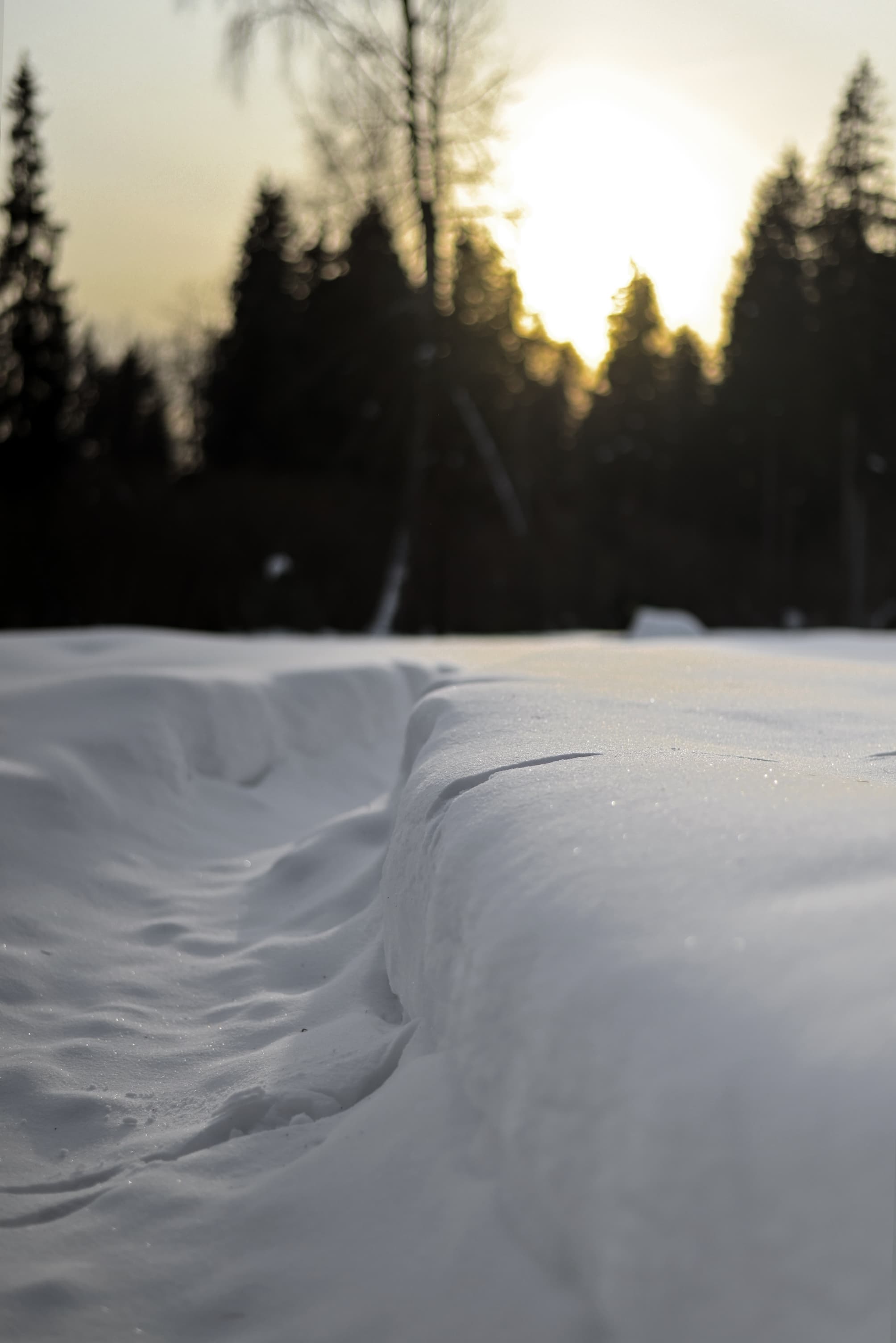 slide-aa669b9e-4aaa-4a6a-87be-5b396cf4c902