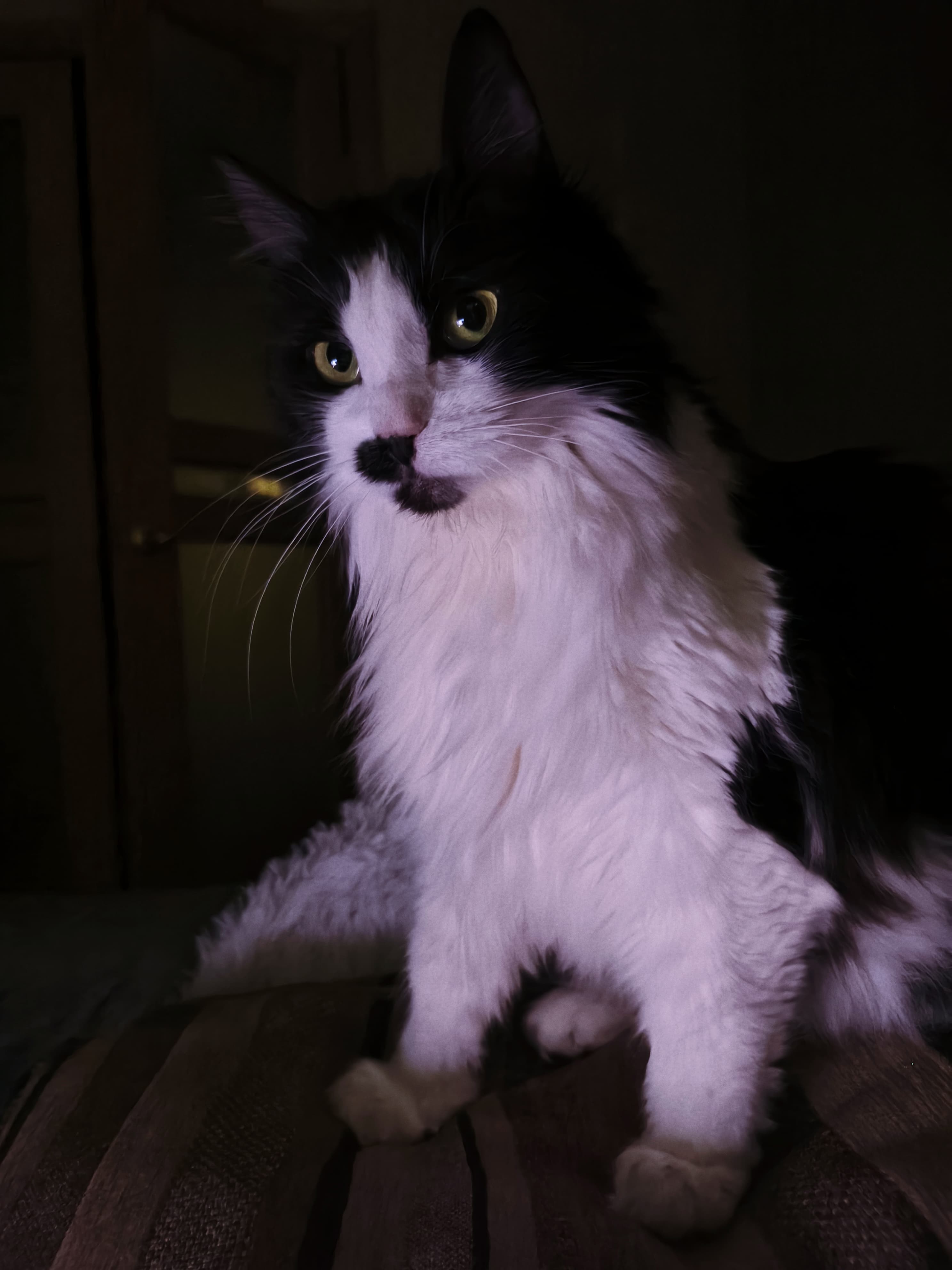 slide-ac221f7f-11d8-45fa-9137-6f1ef602b43e