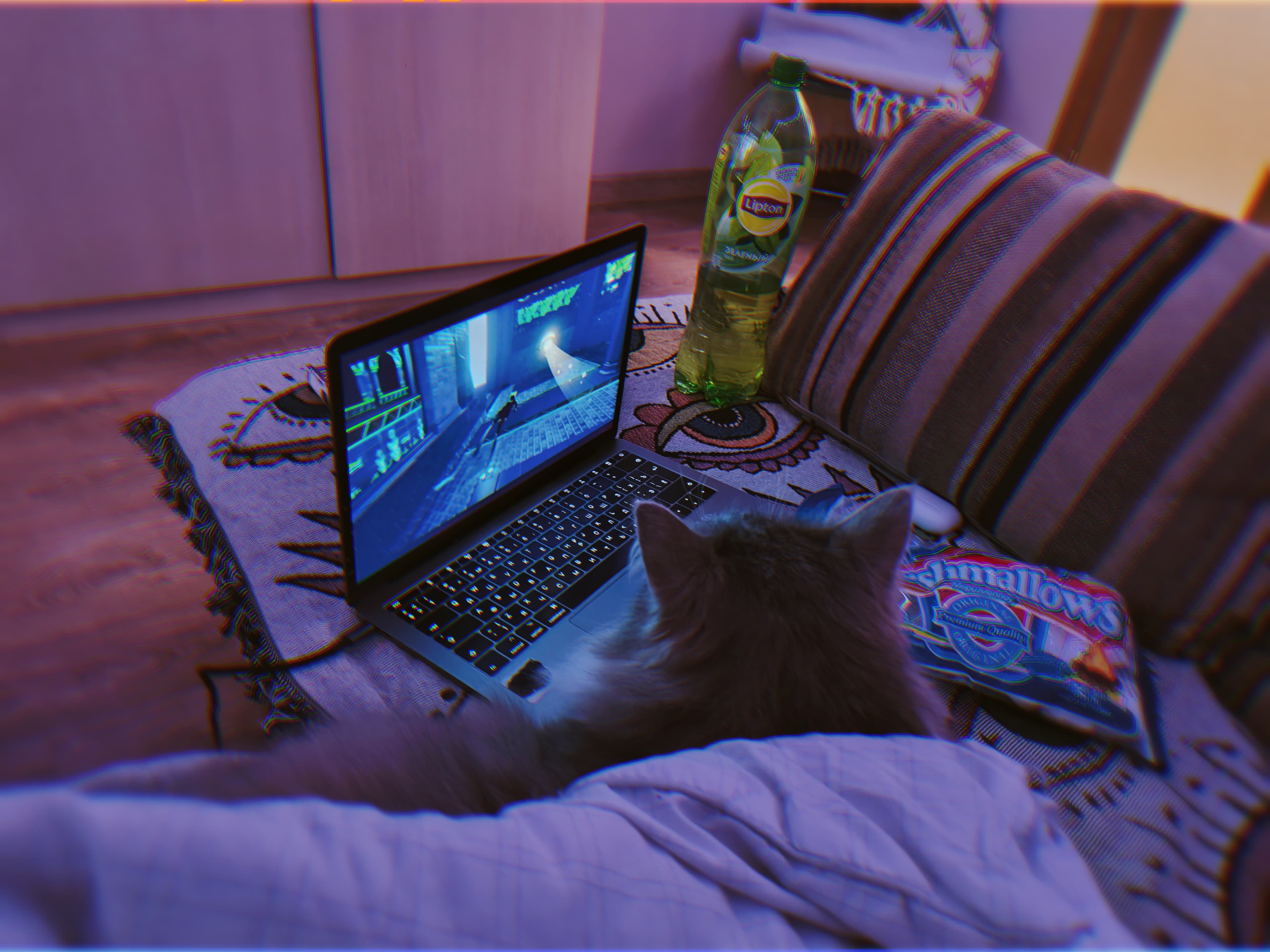 slide-ad4244c1-85ca-4583-b941-5fd4794bf2c3