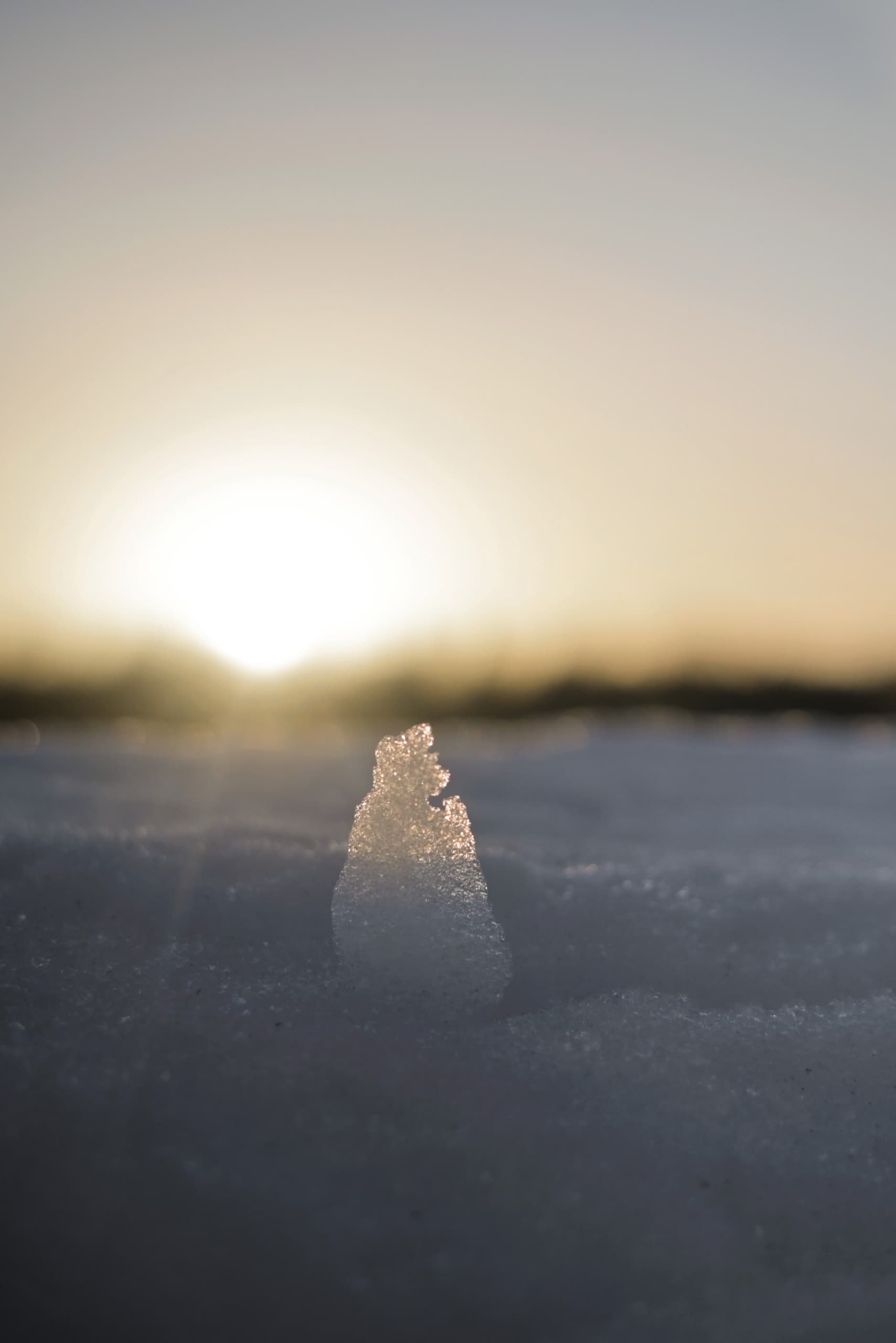 slide-add8f972-a769-434e-9814-1c01a8f61657