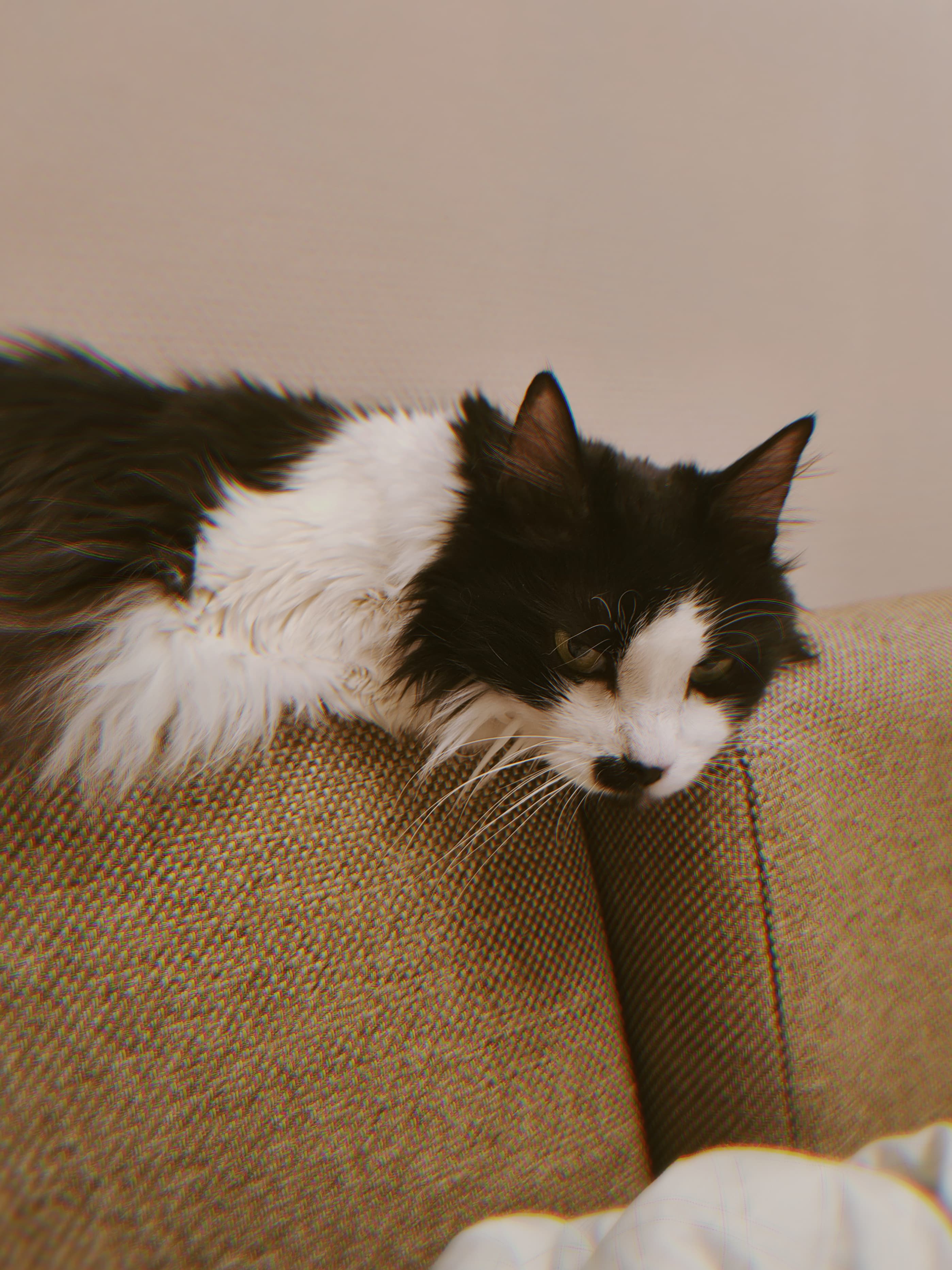 slide-ae2a16bc-f0d5-46f0-9d81-c6521e26fcd8