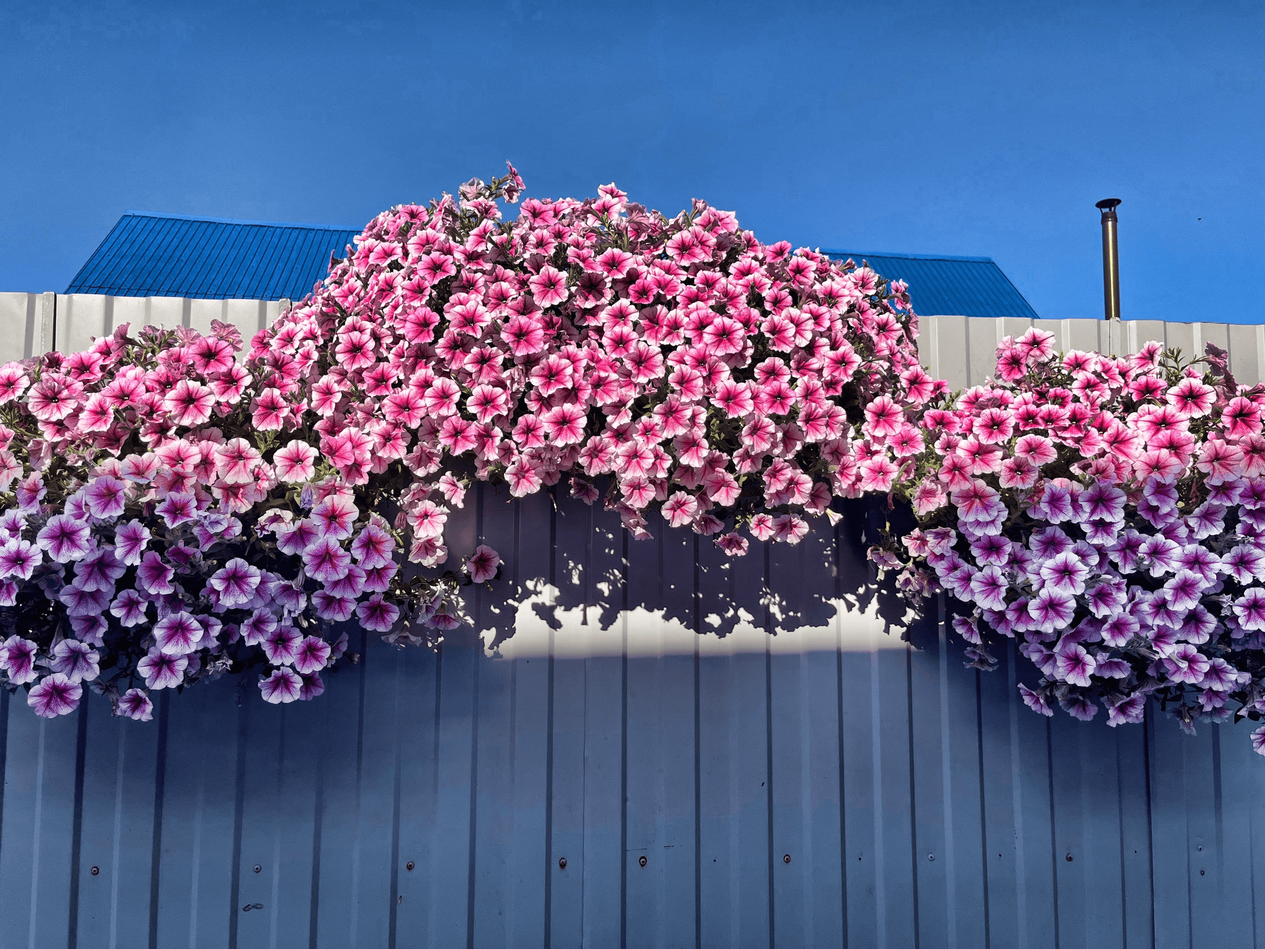 slide-ae70293f-a378-4114-9ca3-bb587d9cf1eb