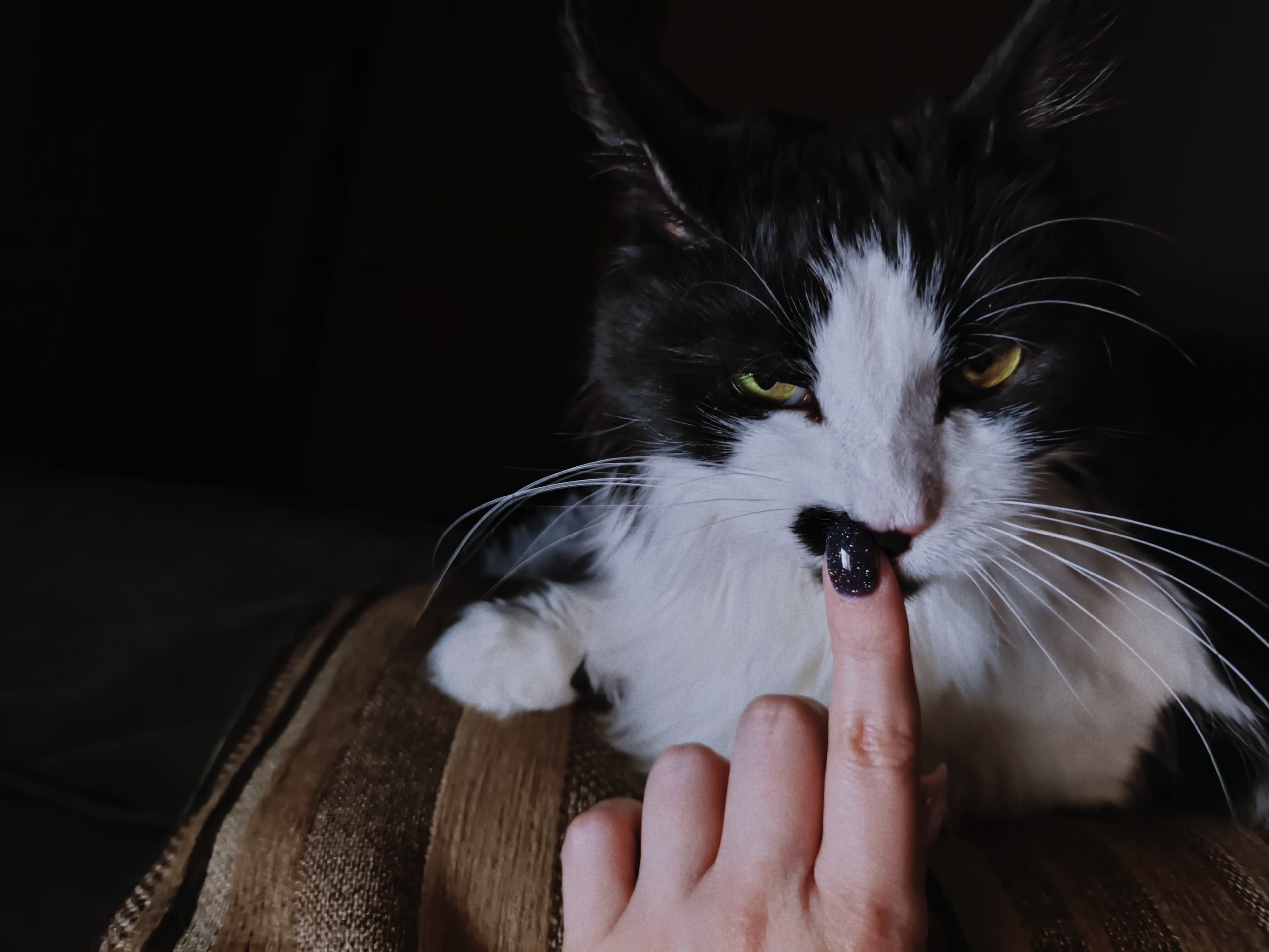 slide-b1490dd6-762e-4d5f-902c-89228dac20fd