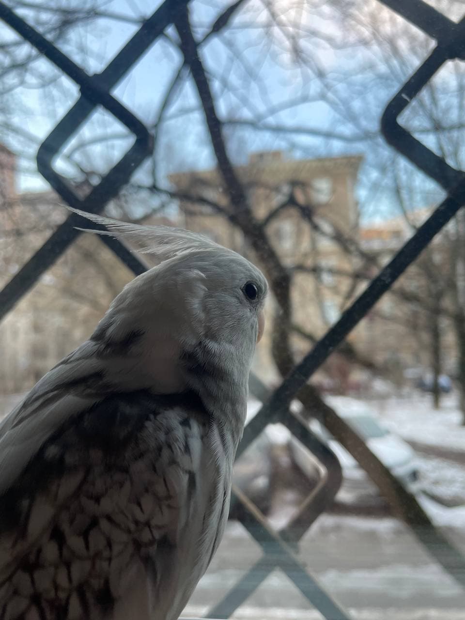 slide-b1c4bed1-9696-4e76-ba9a-3569bad3a1db