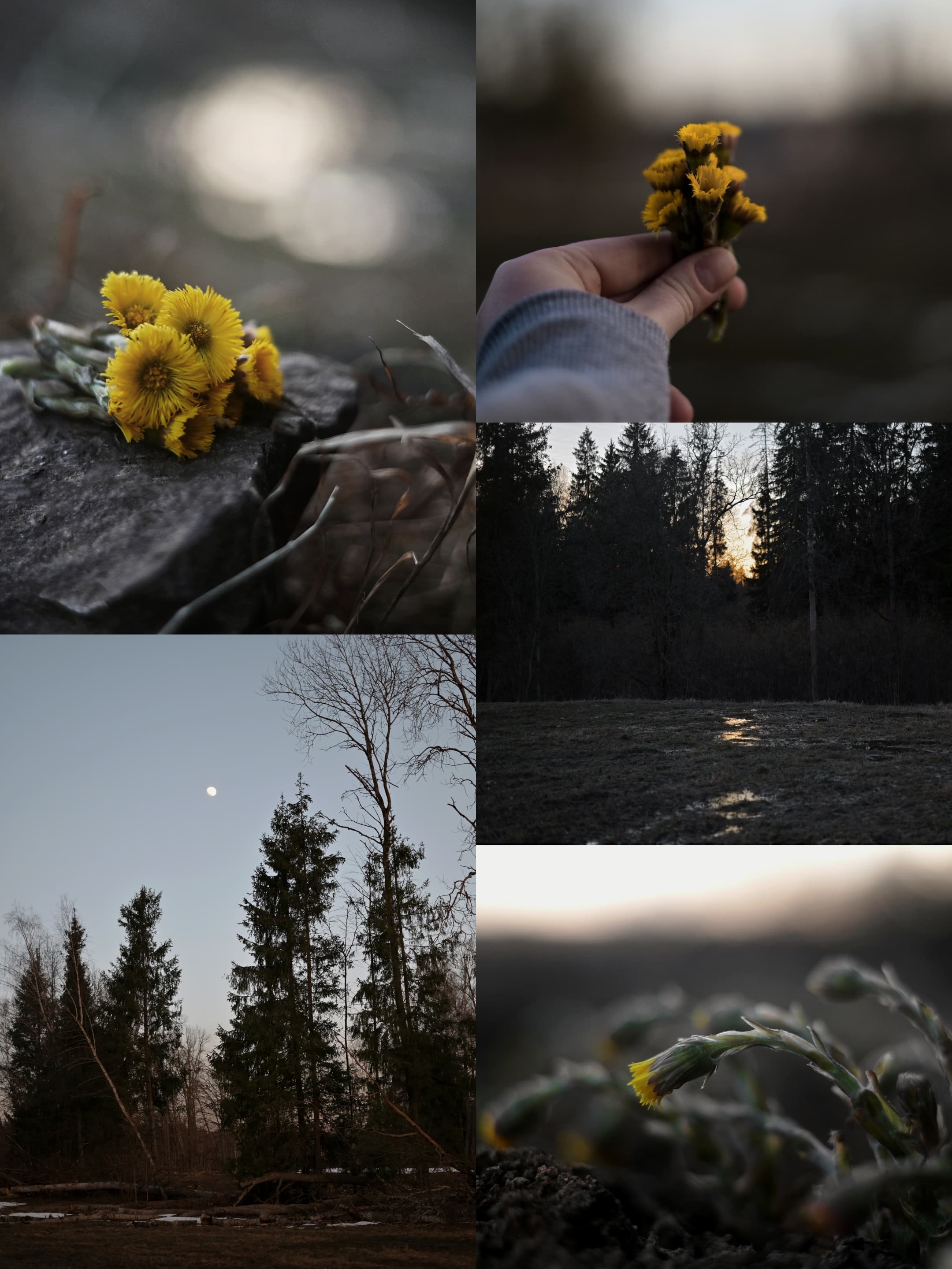 slide-b2081f50-9068-4779-9ec7-e592d8fa2f64