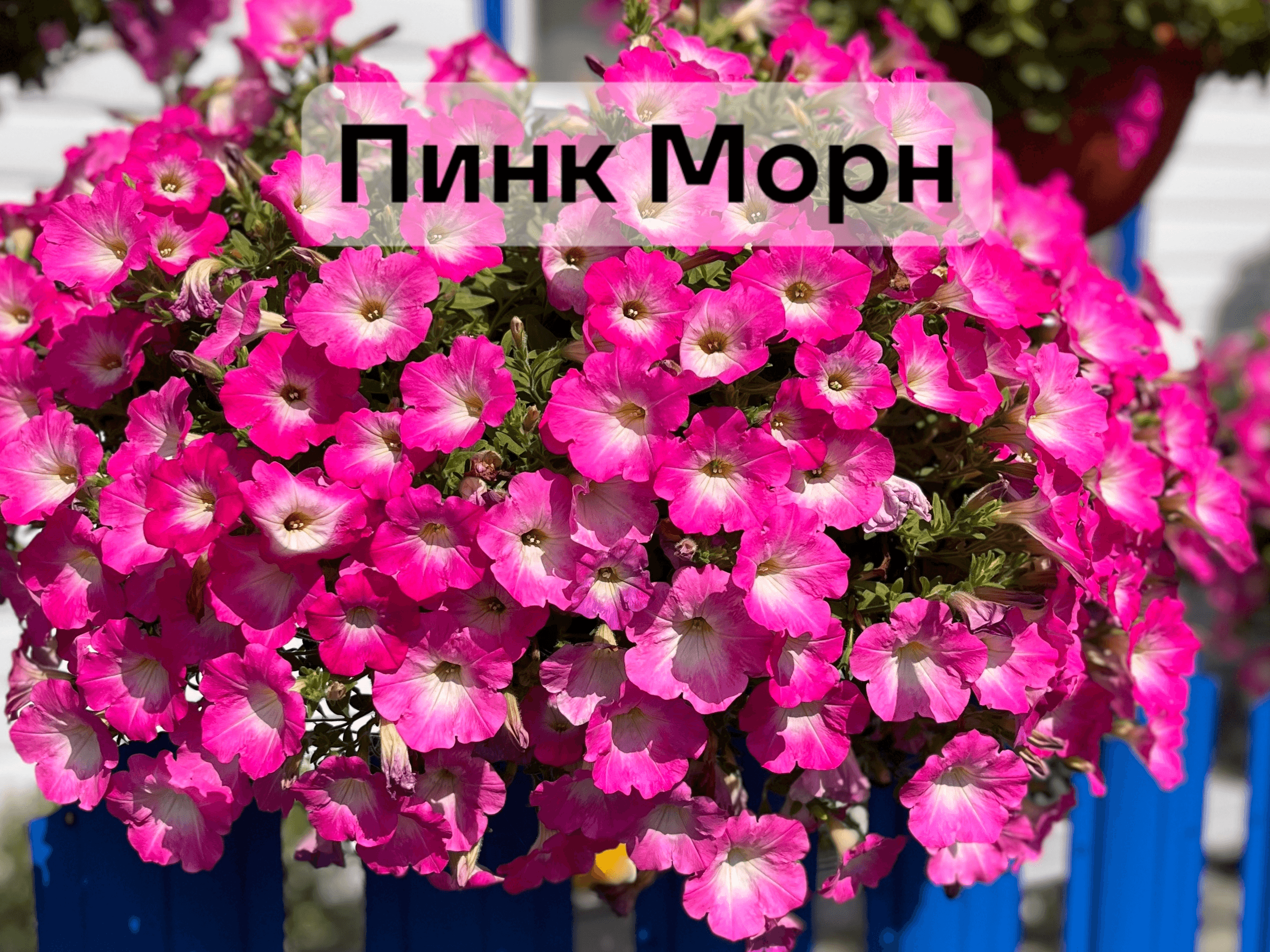 slide-b4dddd4e-9ef3-4a4b-8f52-45b3b8608d8f