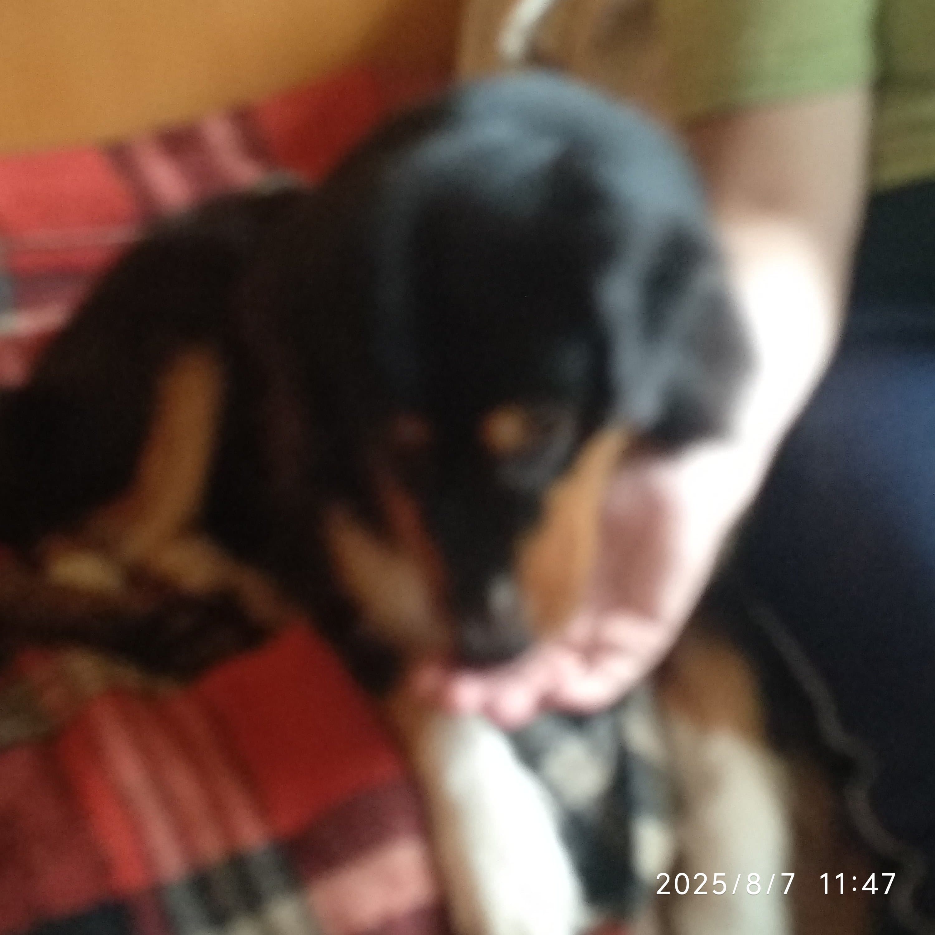 slide-b4f501ef-02d4-41e5-b1b9-1b47e3b5e9bb