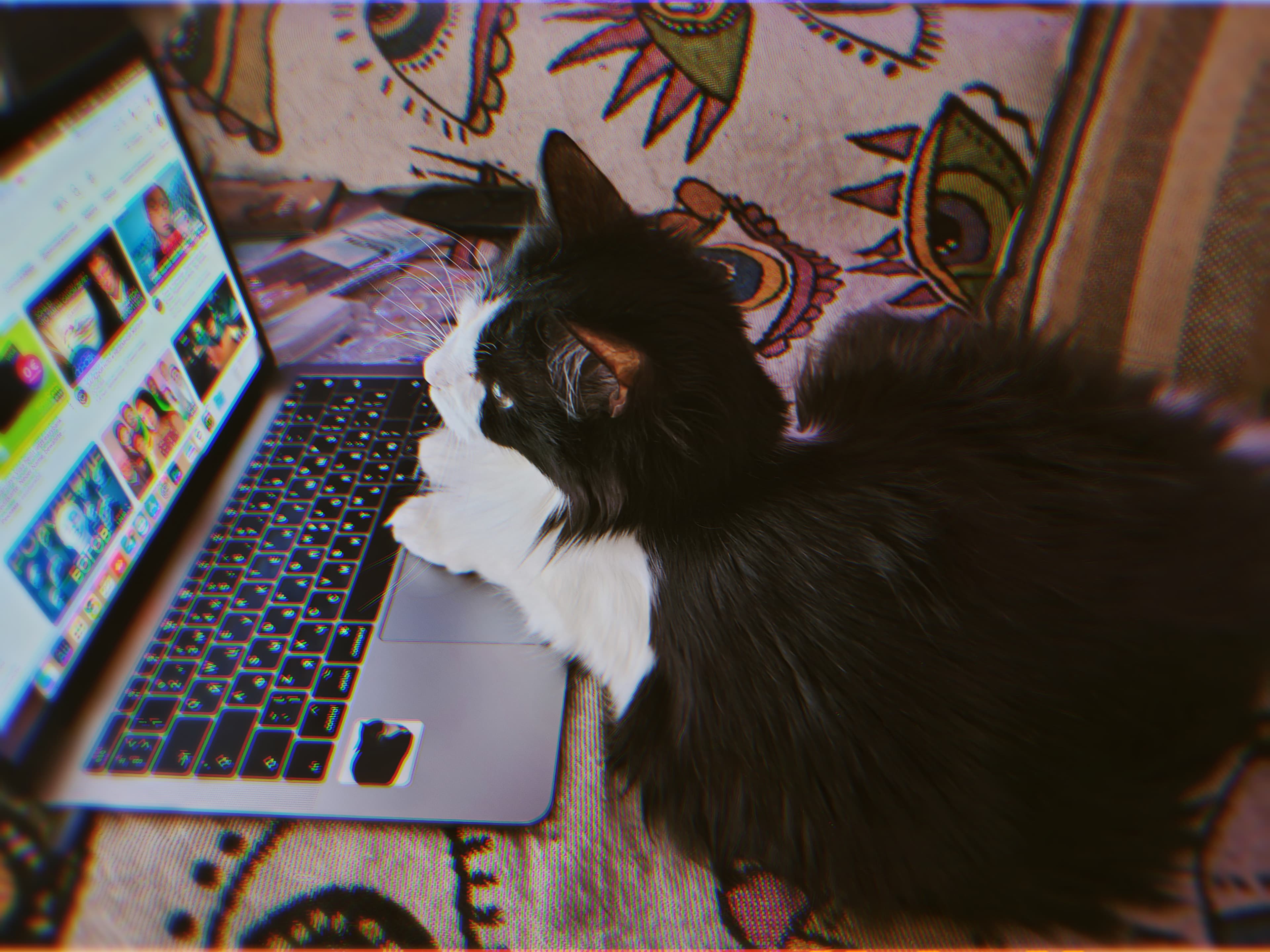 slide-b5a2eca1-68f7-4c52-9aef-3b9972e5e19c