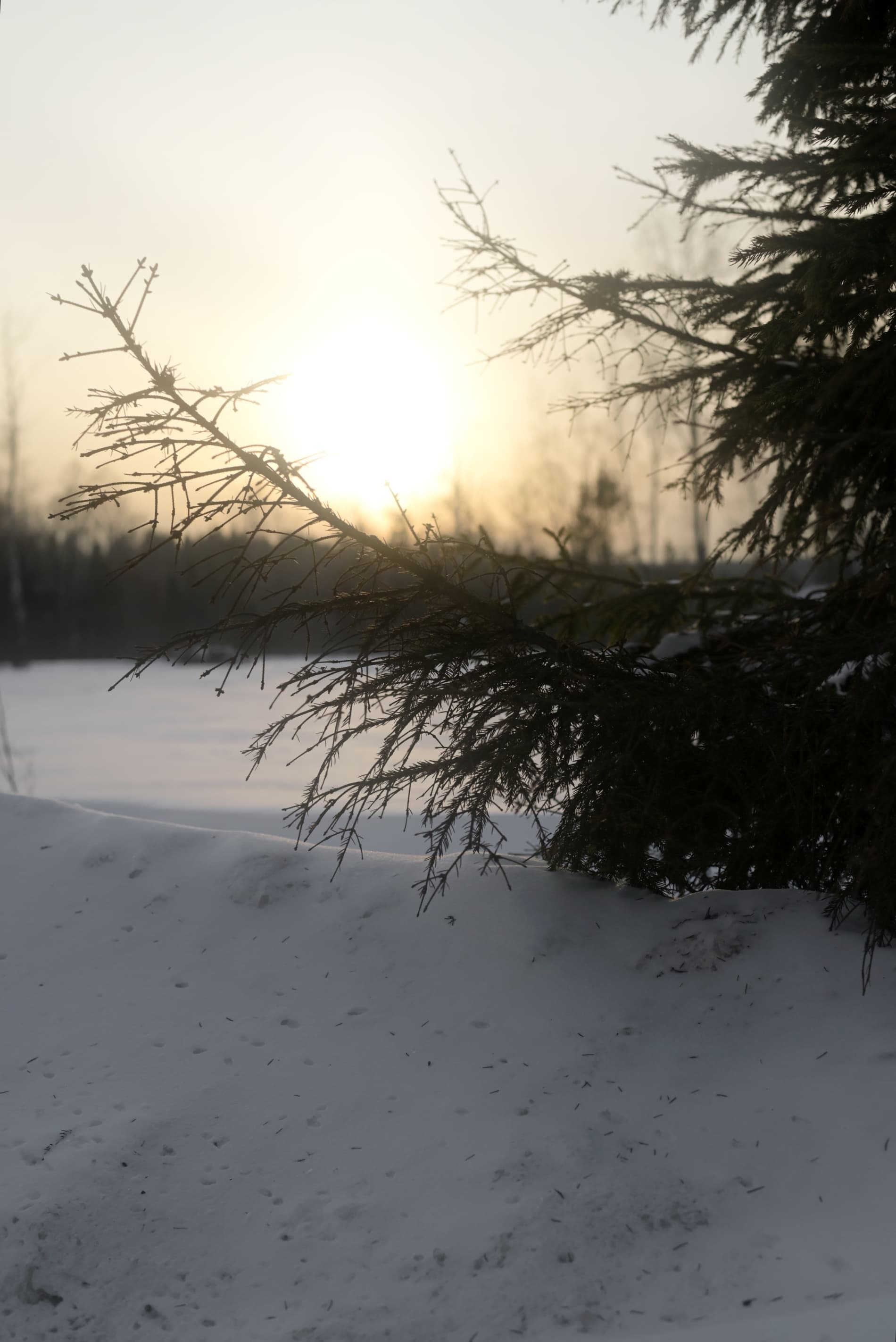 slide-b8048ea1-6796-4d22-921f-c0c7de7d2854