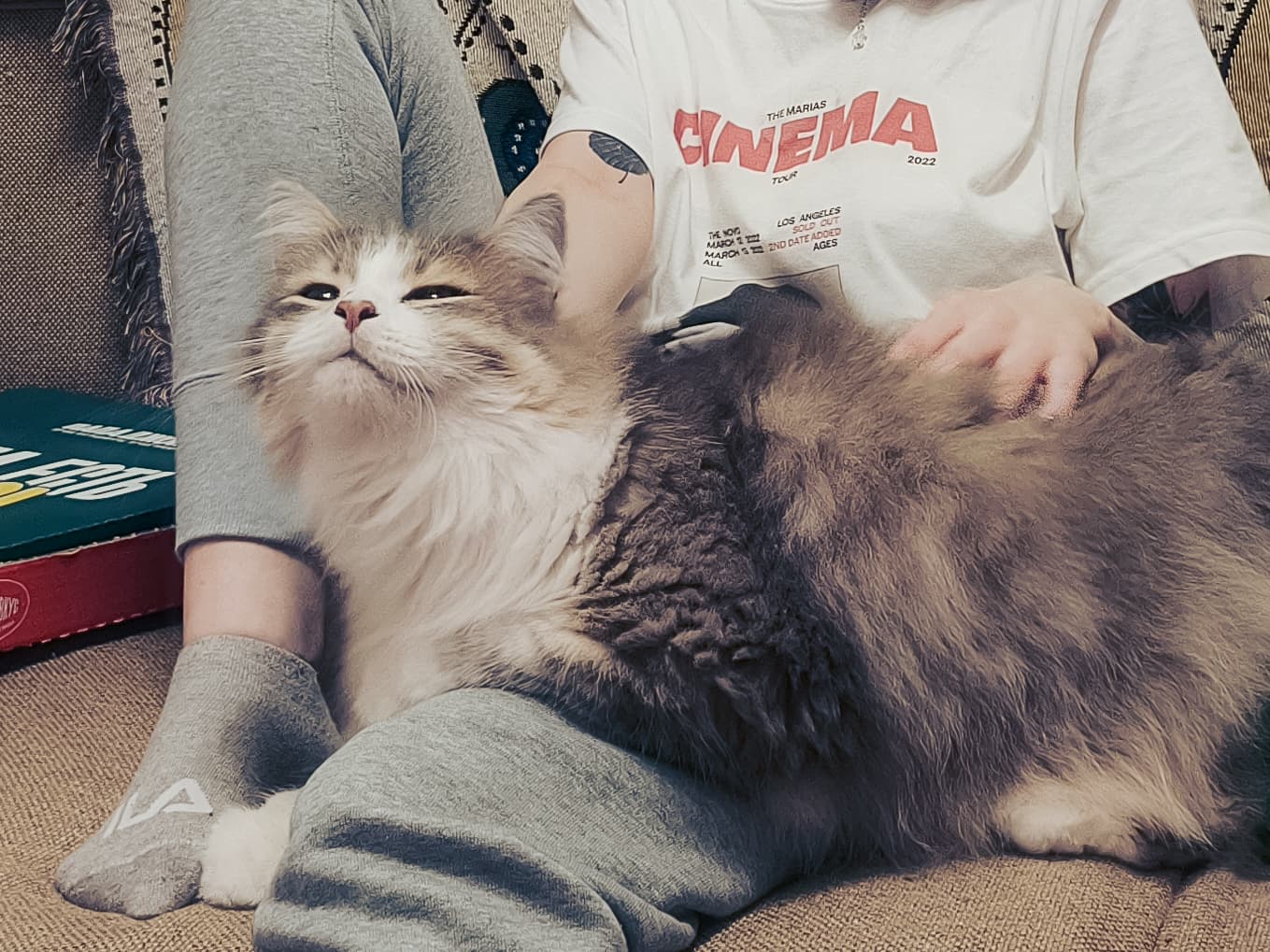 slide-bdb70936-b55a-47ce-ae26-16ad17462a0c