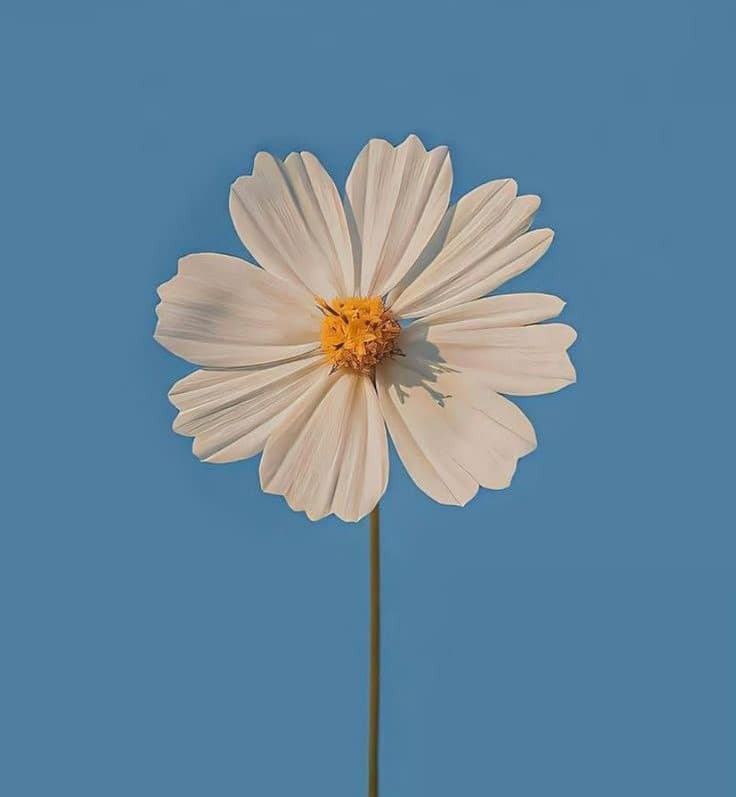 slide-be43bd15-31b9-43d6-b085-38caf8c297c9