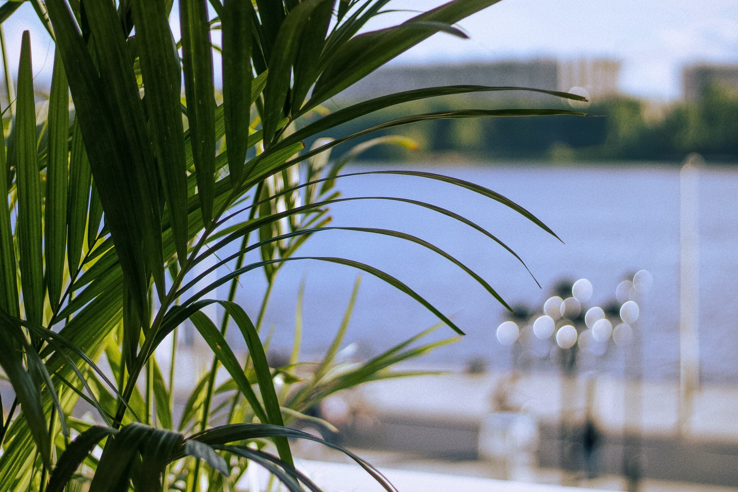 slide-c07abb5a-cda8-42eb-ba9d-f10de1f13e11