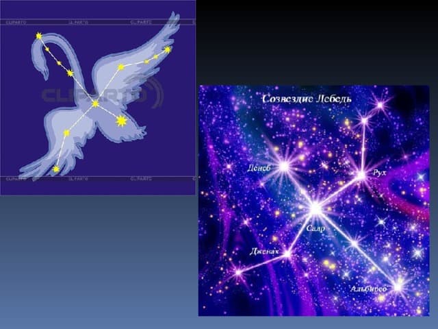 slide-c0f4d3e1-452a-4899-a453-670ae9174133