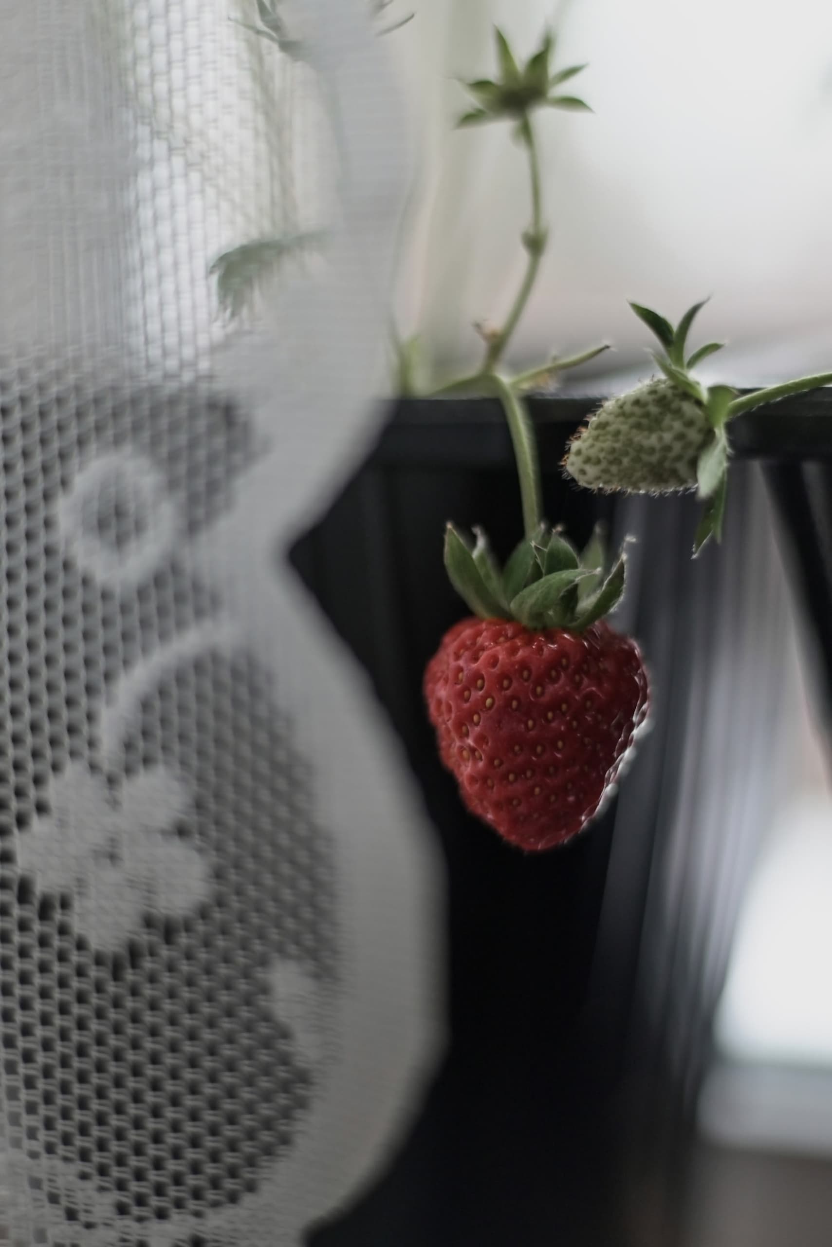 slide-c4c215cb-66f0-417c-a527-621561bd288f