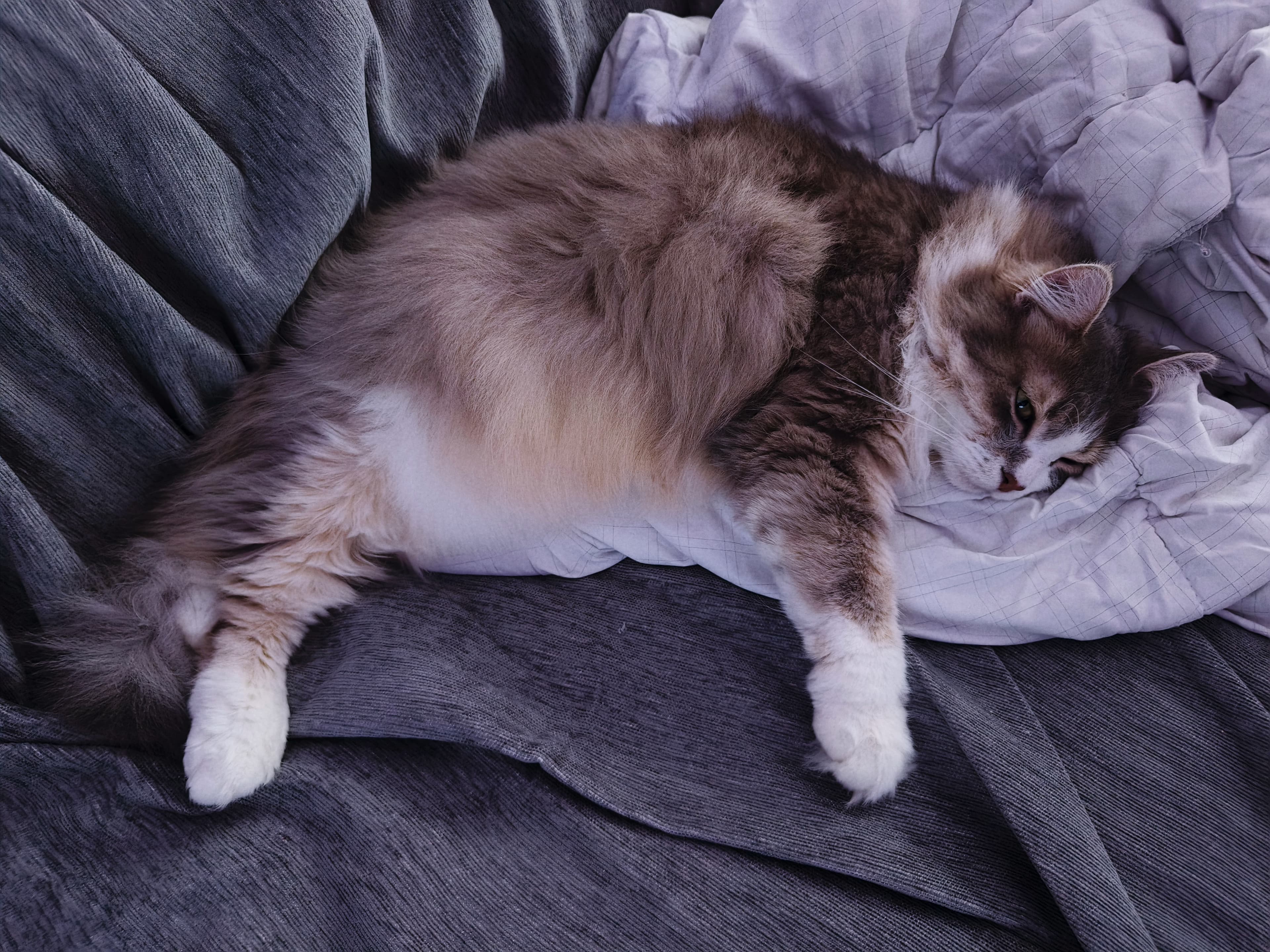 slide-c55f97e8-47b9-4130-9d24-ff83465966a5