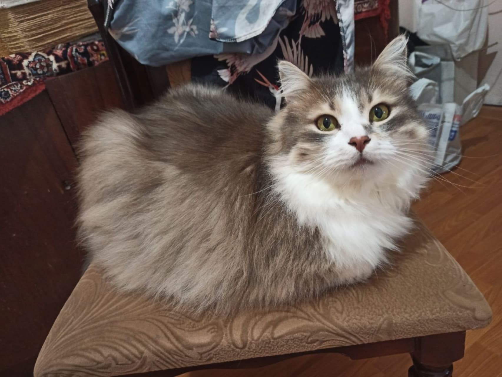 slide-c578250d-17ab-424f-931f-cb1ab3b94d7d