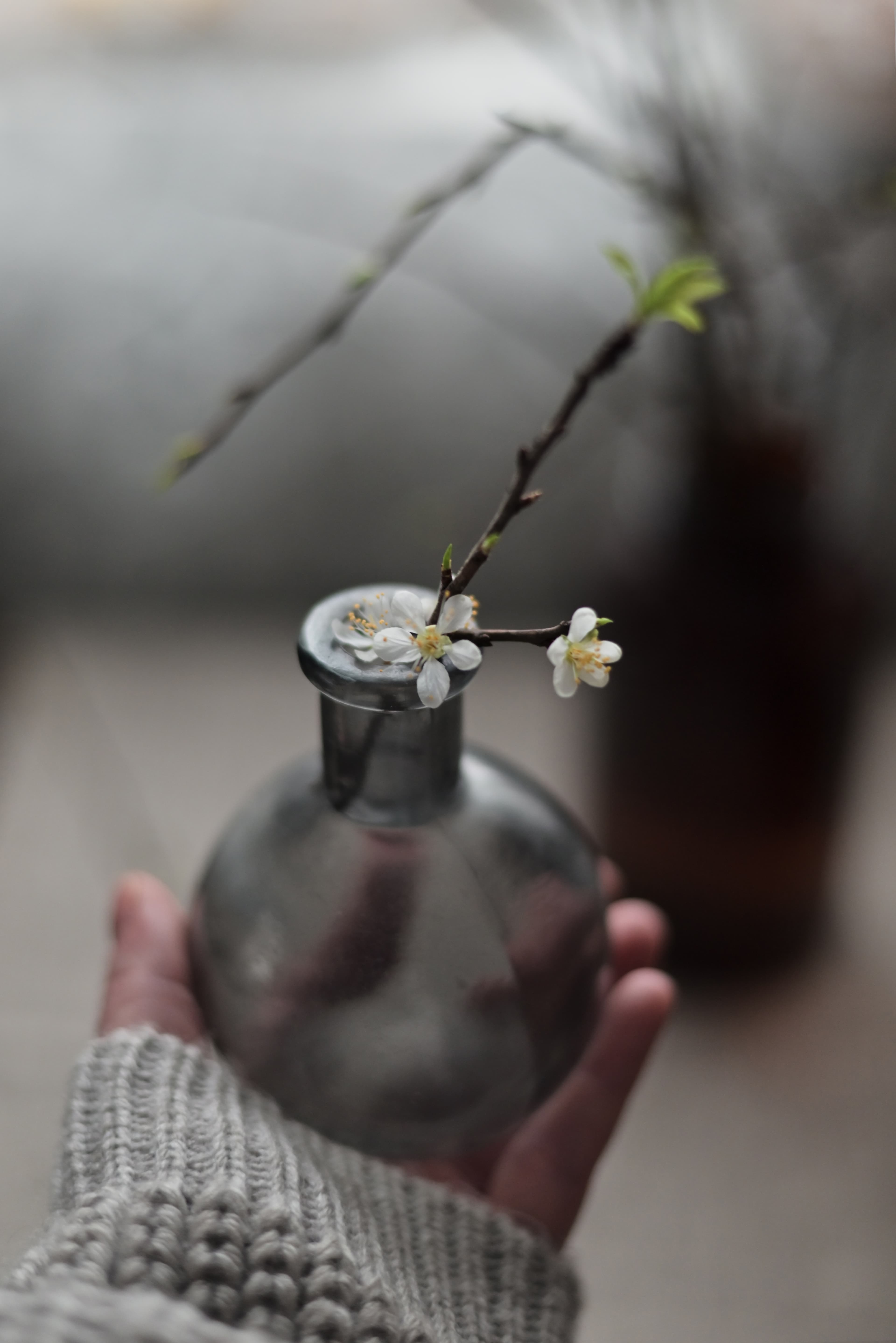 slide-c5c61cec-cc98-4681-b7ce-dd8922a848fb